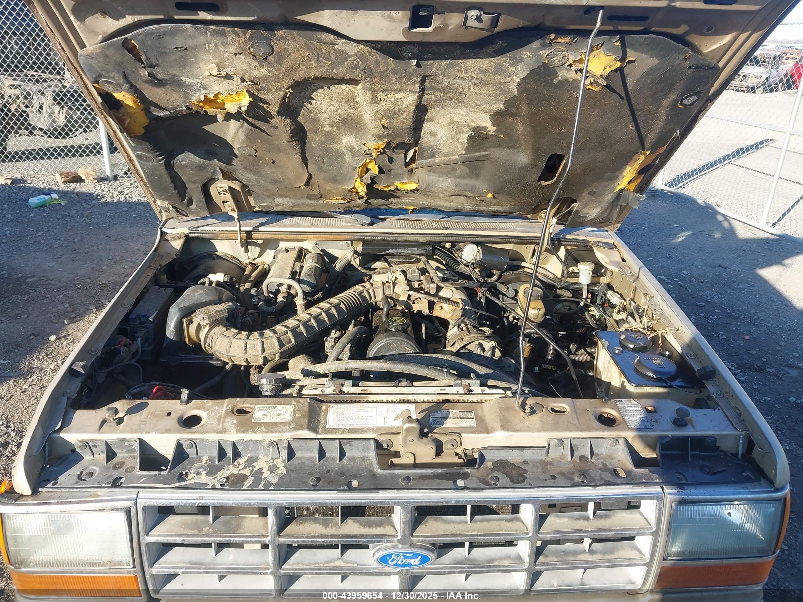 1991 Ford Ranger   Gold vin: 1FTCR10A0MUB80600