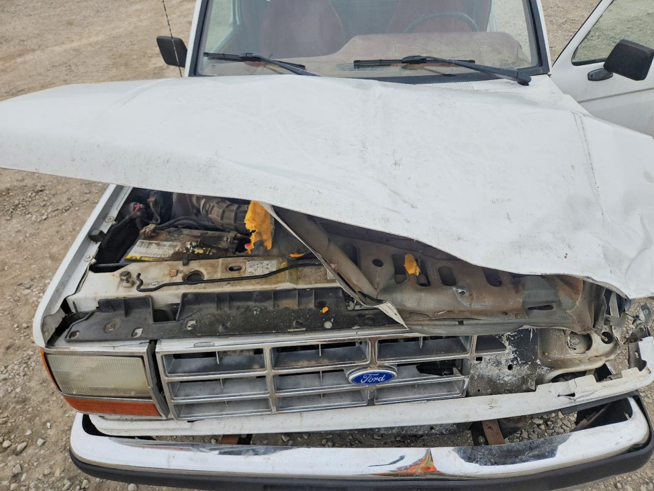 1991 Ford Ranger White vin: 1FTCR10A2MTA48766