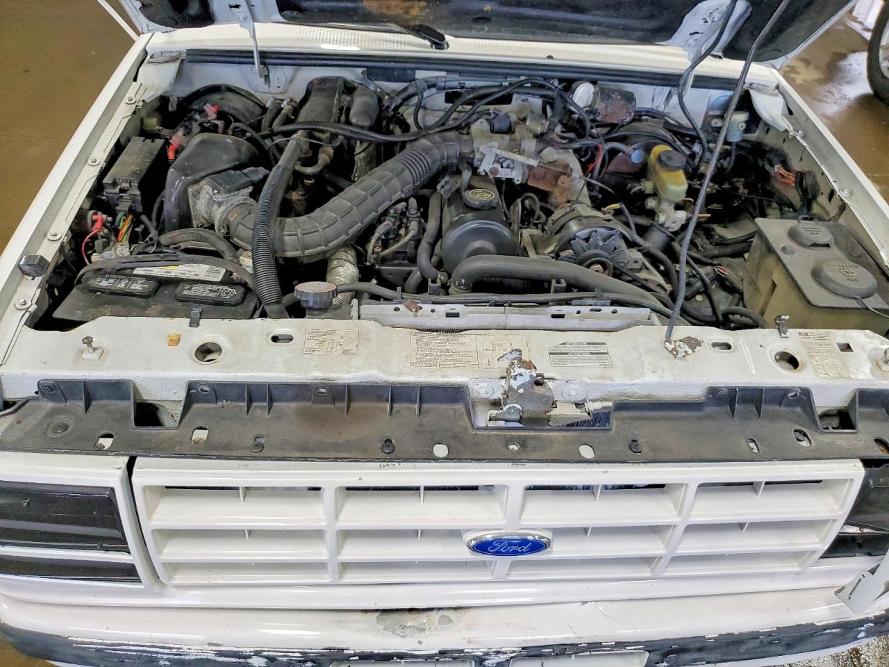 1991 Ford Ranger Белый vin: 1FTCR10A6MUB41607