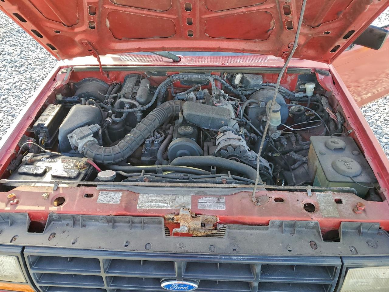 1991 Ford Ranger Red vin: 1FTCR10A6MUD57358