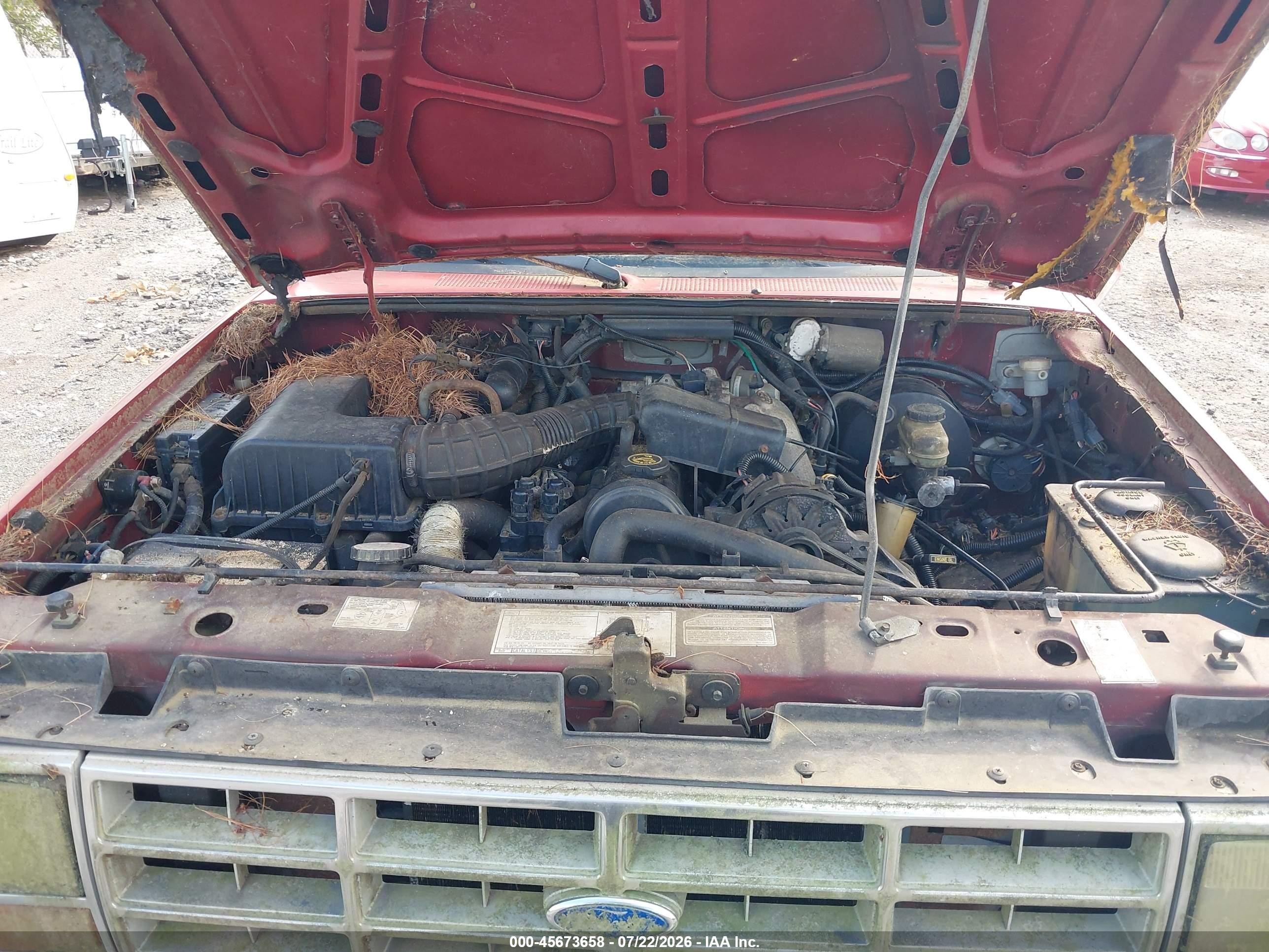 1989 Ford Ranger   Red vin: 1FTCR10A8KUC42239