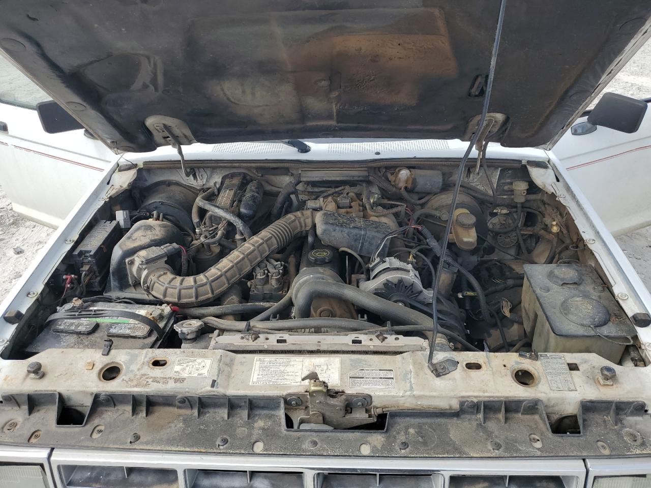 1991 Ford Ranger Белый vin: 1FTCR10A8MUC86289