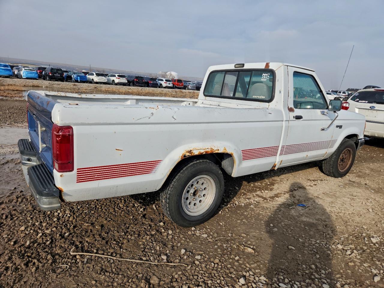 1991 Ford Ranger White vin: 1FTCR10U2MUC87870