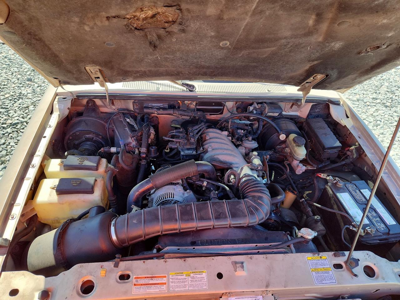 1997 Ford Ranger Beige vin: 1FTCR10UXVTA53273