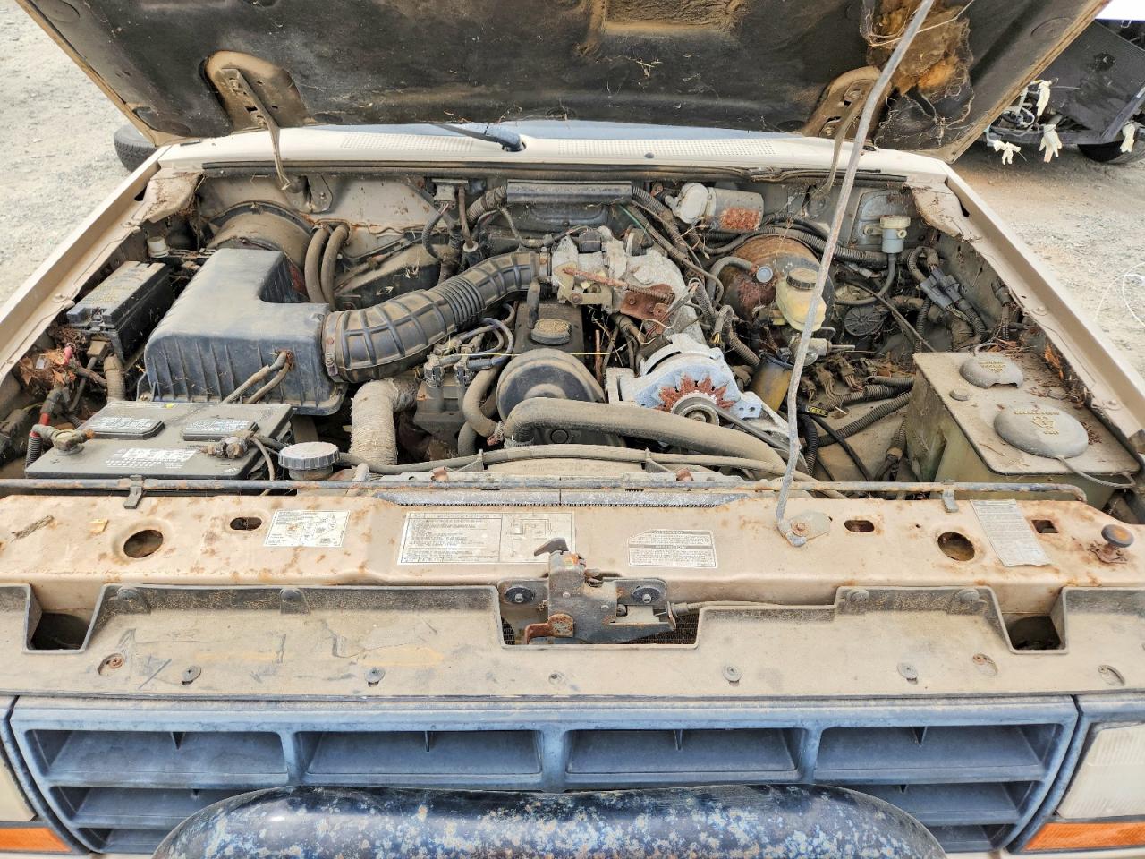 1989 Ford Ranger Gold vin: 1FTCR11A1KUB06081