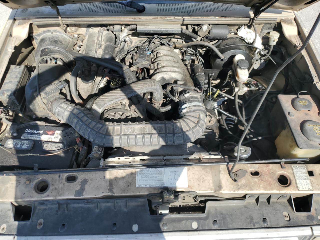 1991 Ford Ranger Super Cab Желто-коричневый vin: 1FTCR14U3MPA05535