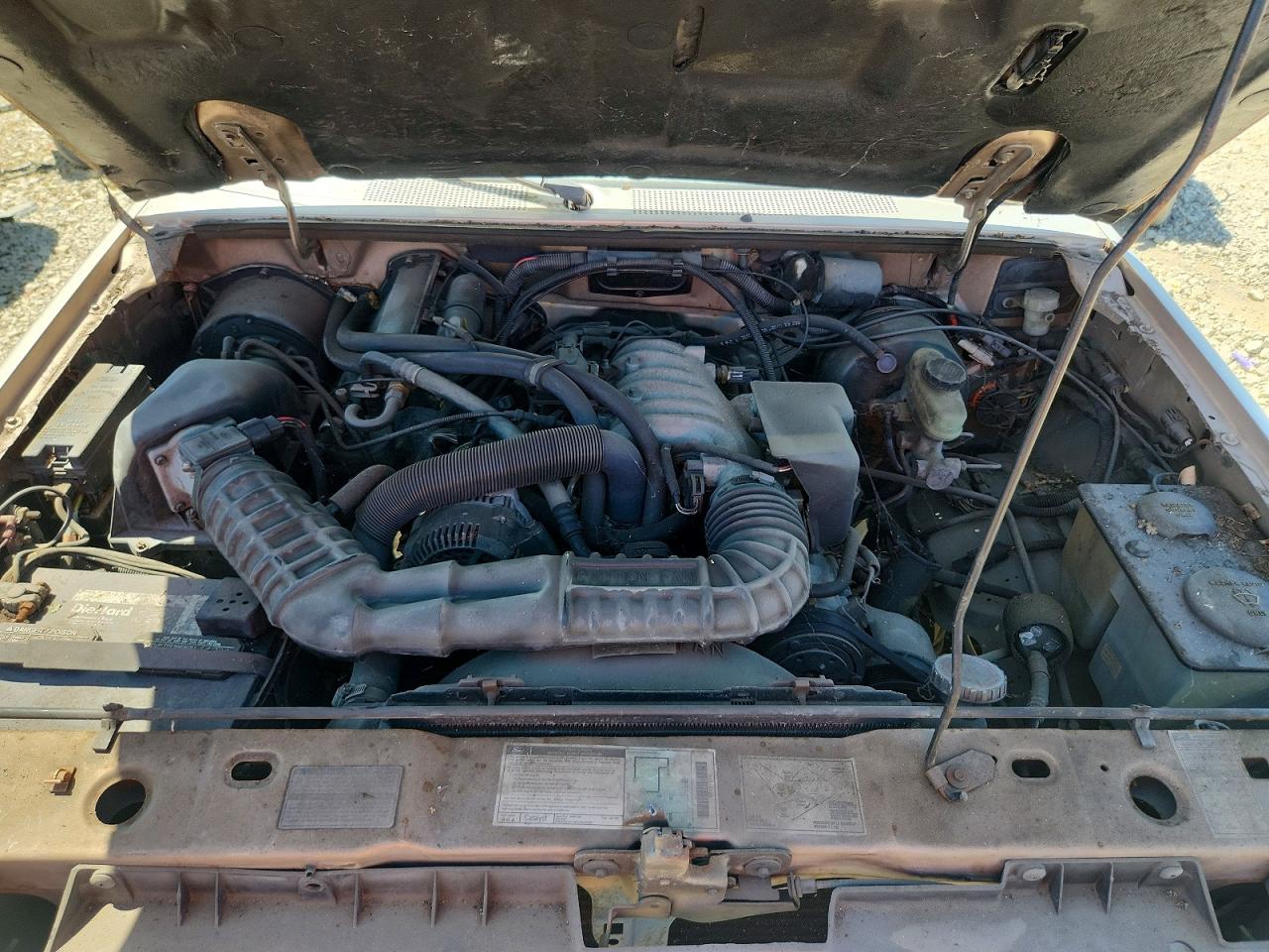 1992 Ford Ranger Super Cab Tan vin: 1FTCR14U3NPA88112