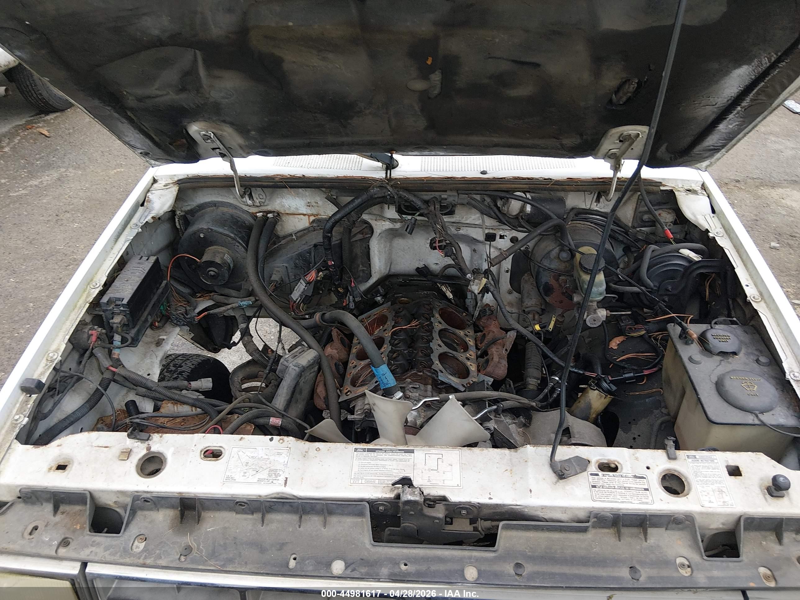 1992 Ford Ranger Super Cab White vin: 1FTCR14U4NTA17749