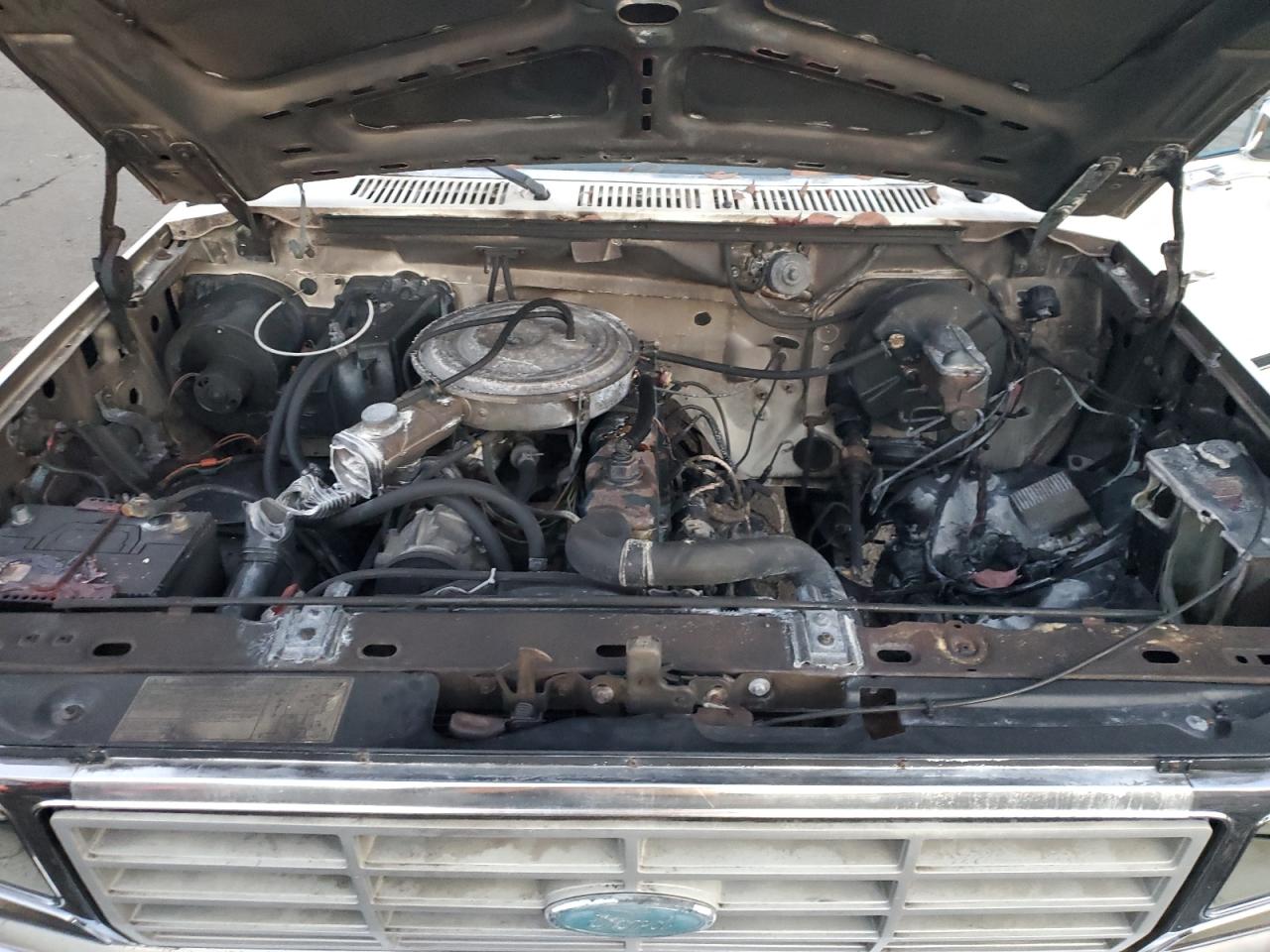 1982 Ford F150 White vin: 1FTDF15E7CRA25357