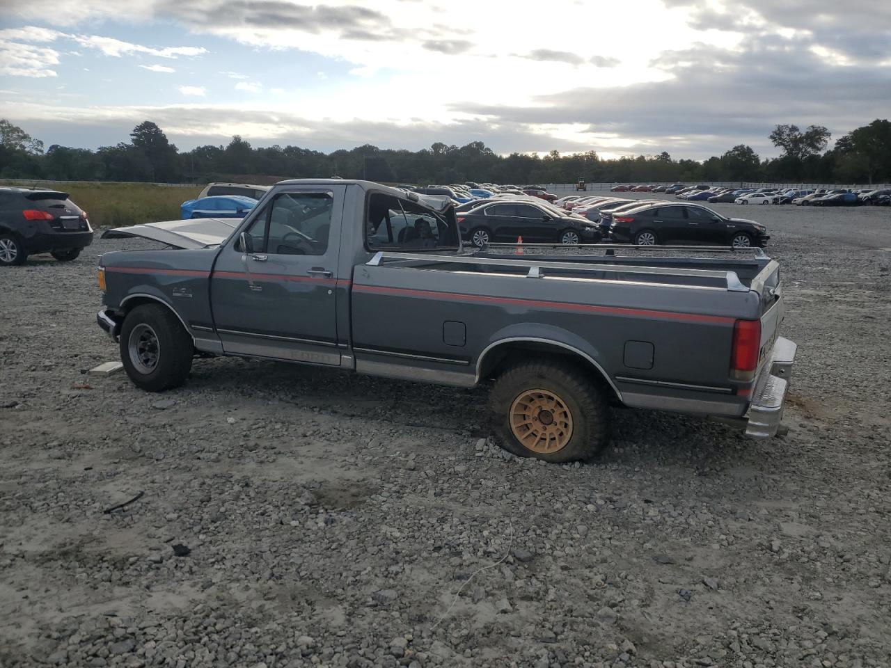 1989 Ford F150 Gray vin: 1FTDF15N0KNB40565