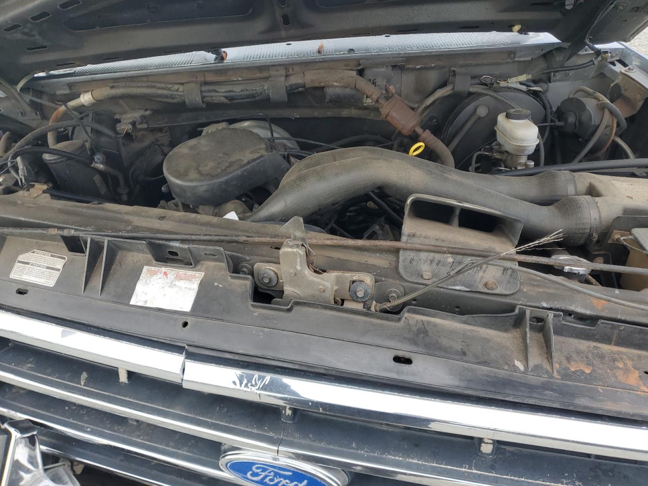 1989 Ford F150 Gray vin: 1FTDF15N0KNB40565