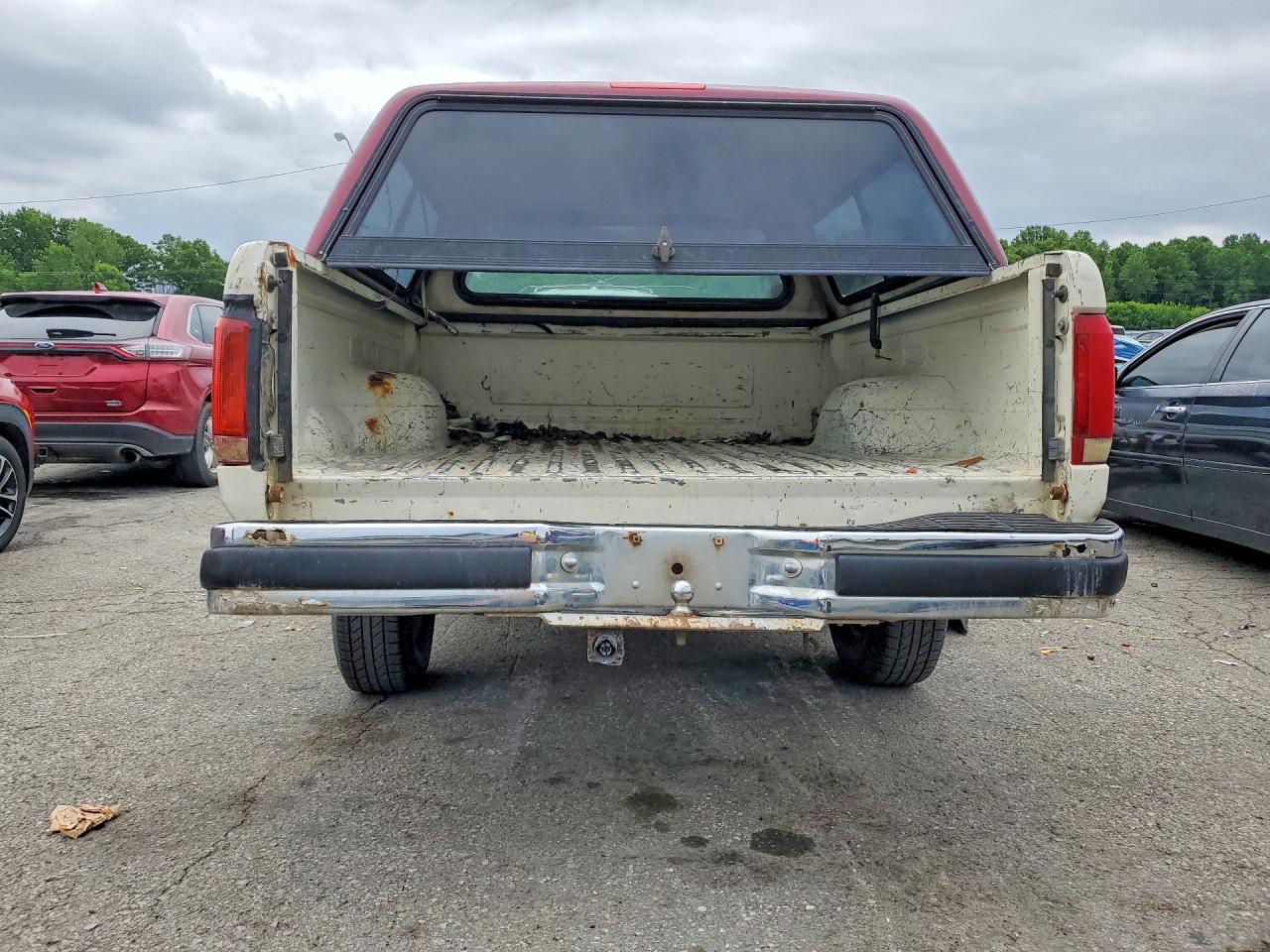 1991 Ford F150 Beige vin: 1FTDF15N1MKA77383
