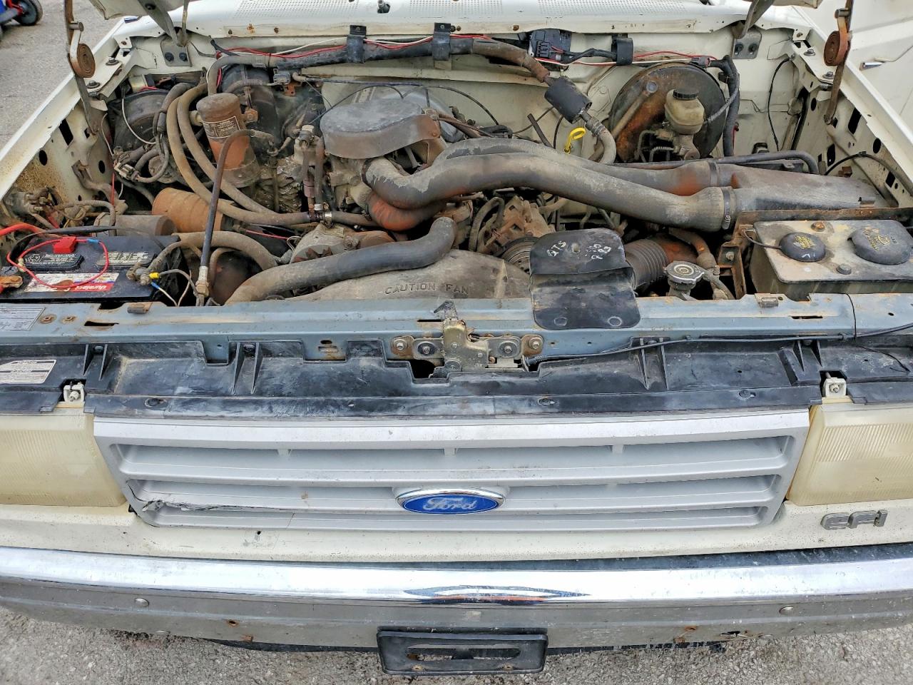 1991 Ford F150 Beige vin: 1FTDF15N1MKA77383