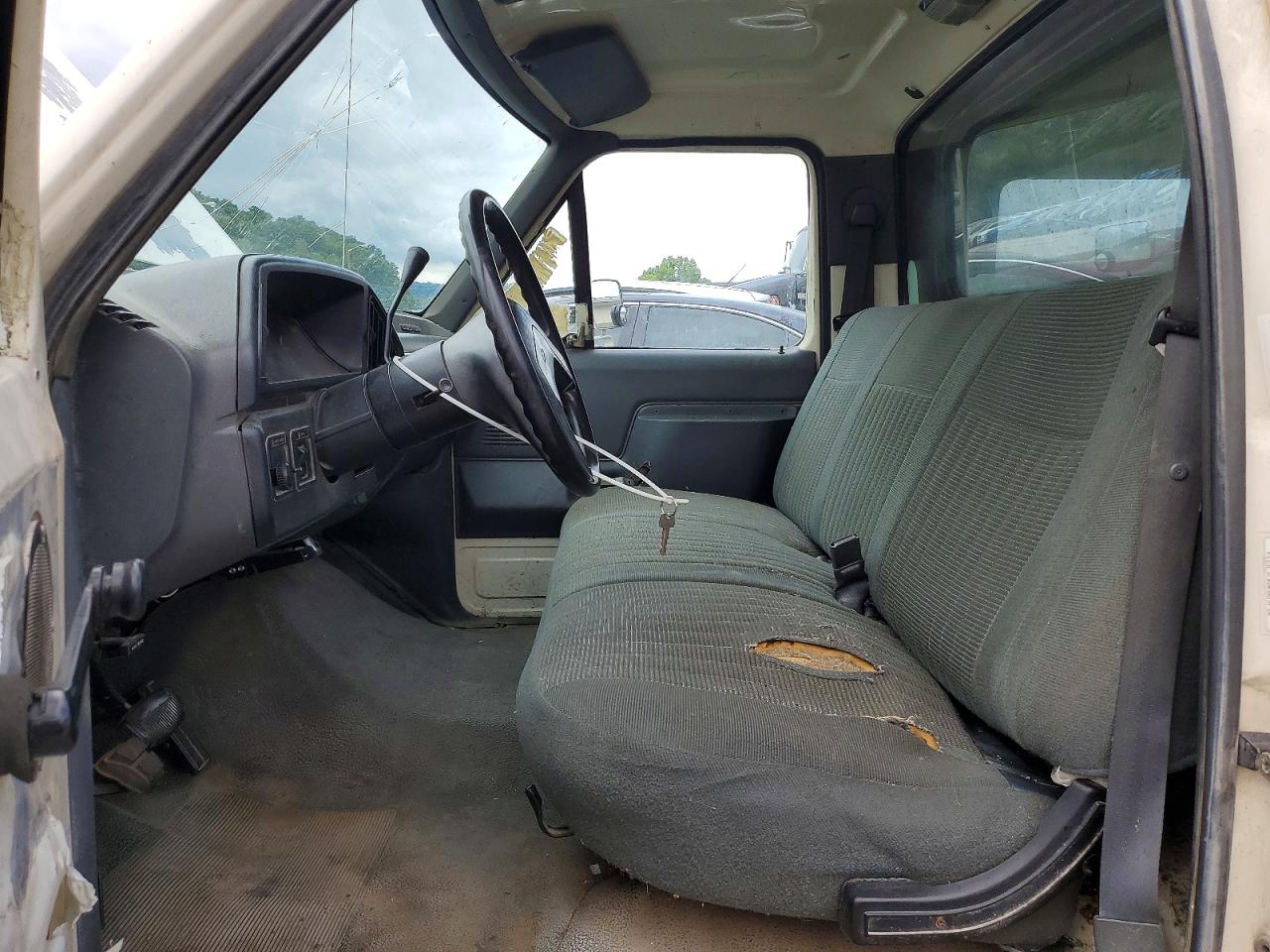 1991 Ford F150 Beige vin: 1FTDF15N1MKA77383