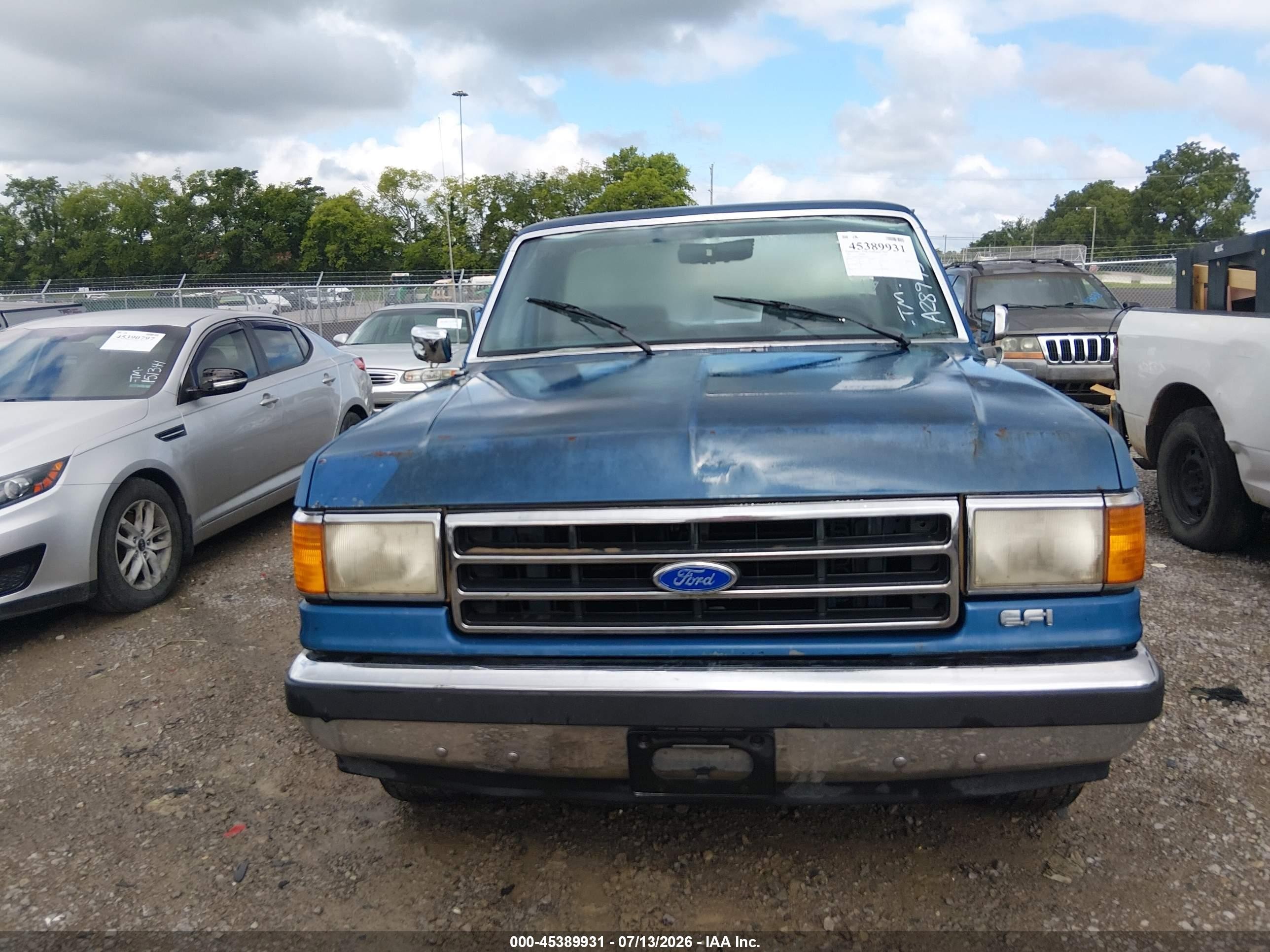 1991 Ford F150   Синий vin: 1FTDF15N3MNA28975