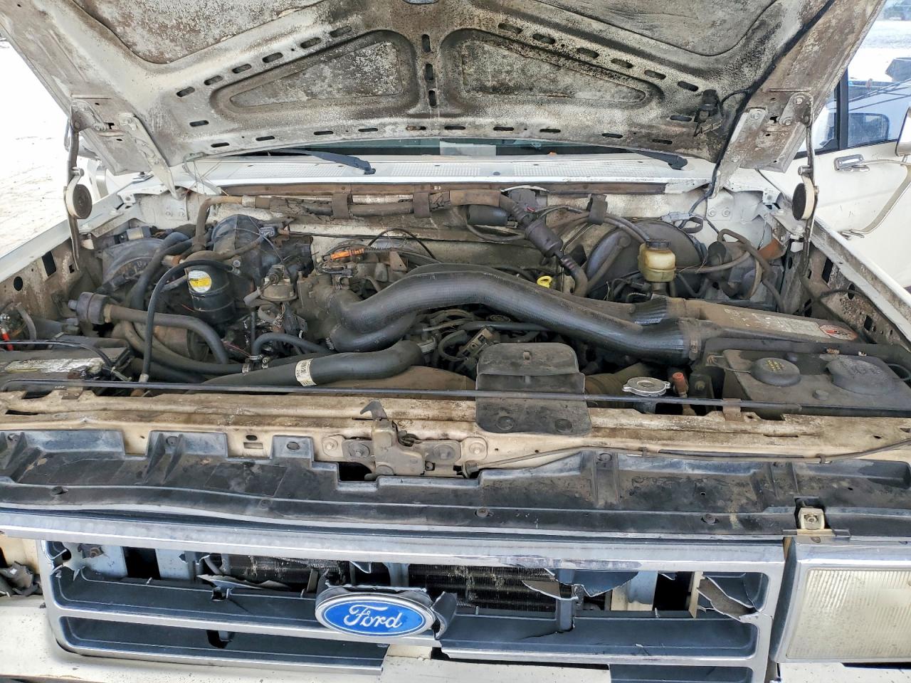 1989 Ford F150 White vin: 1FTDF15N6KNB84117