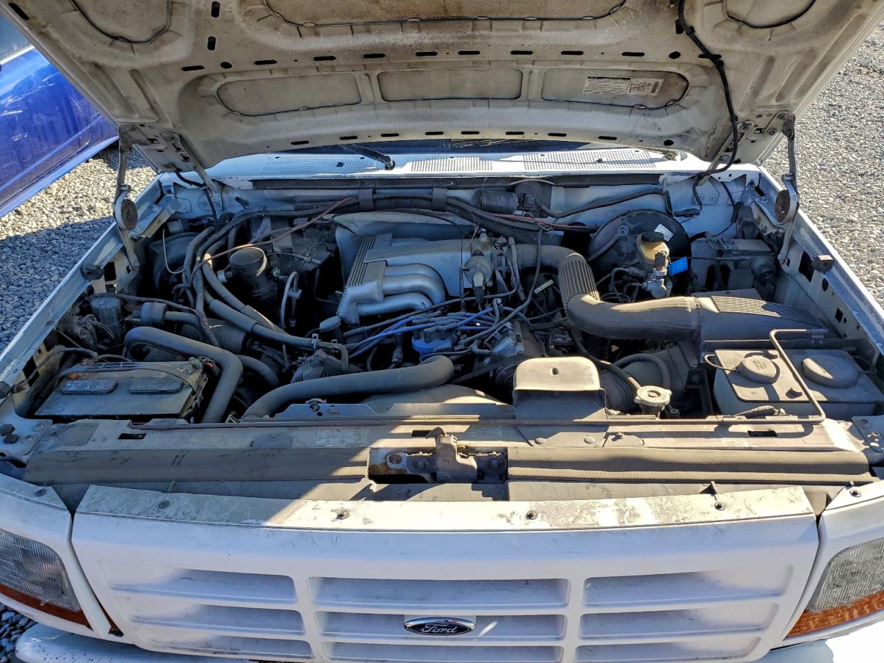 1994 Ford F150 White vin: 1FTDF15R3RLB30475