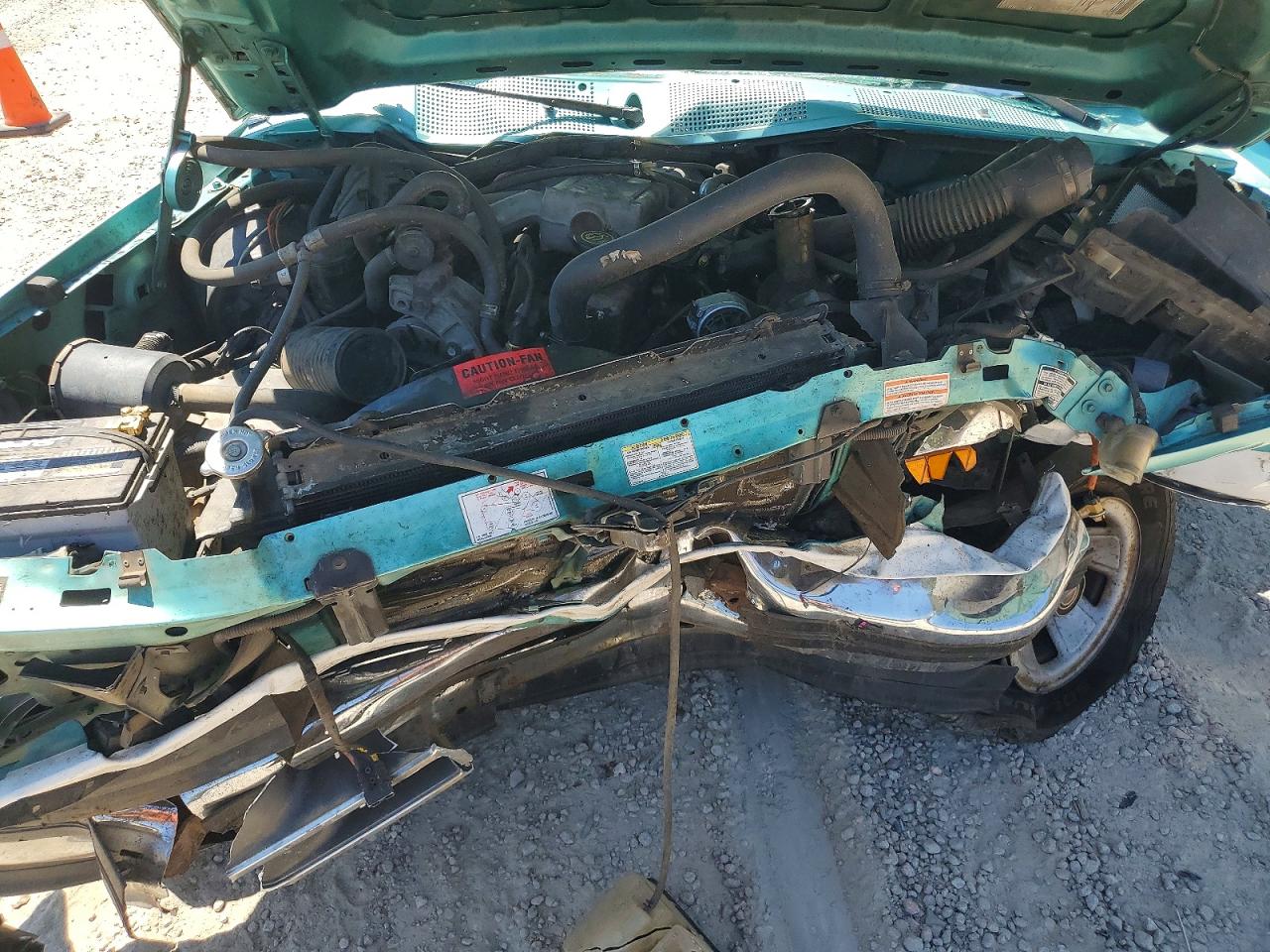 1994 Ford F150 Green vin: 1FTDF15Y1RNB14982