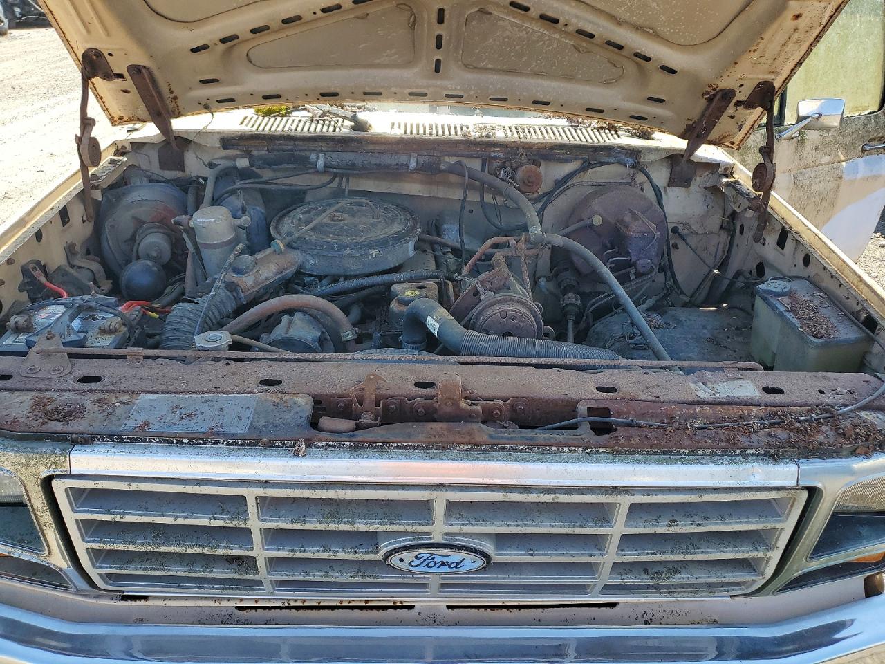1985 Ford F150 White vin: 1FTDF15Y4FNA40999