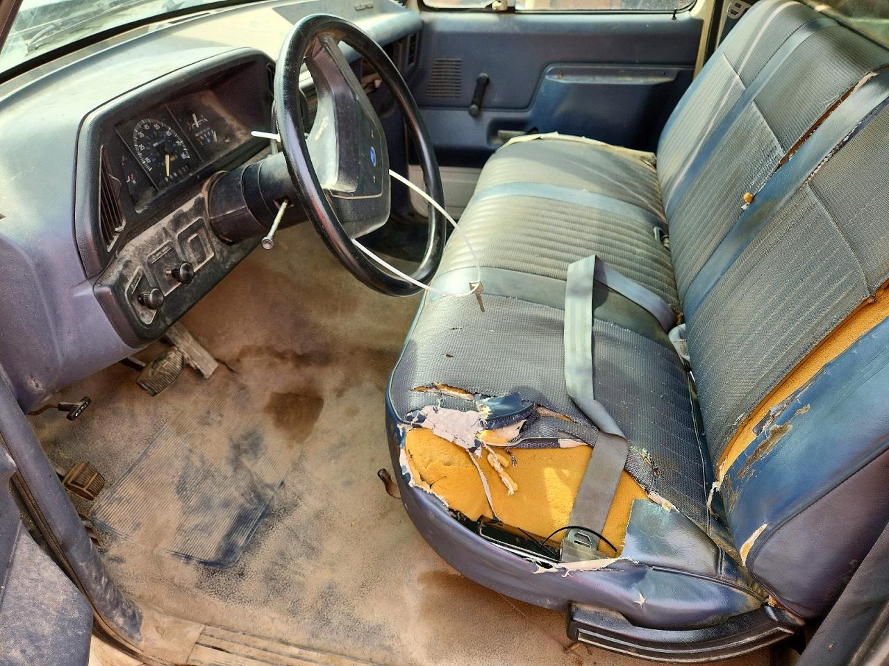 1991 Ford F150 White vin: 1FTDF15Y6MNA98576