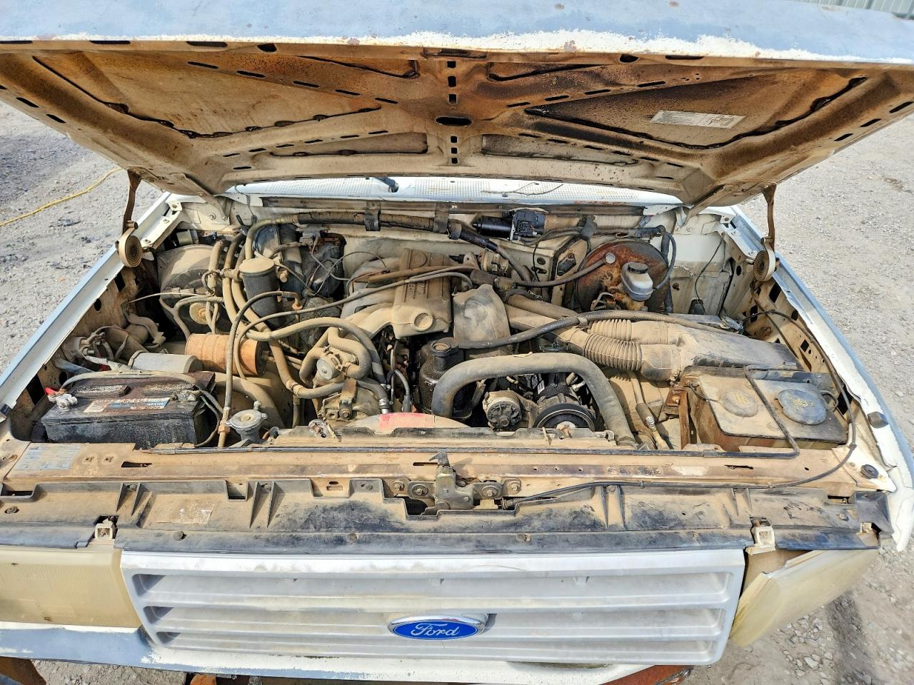 1991 Ford F150 White vin: 1FTDF15Y6MNA98576