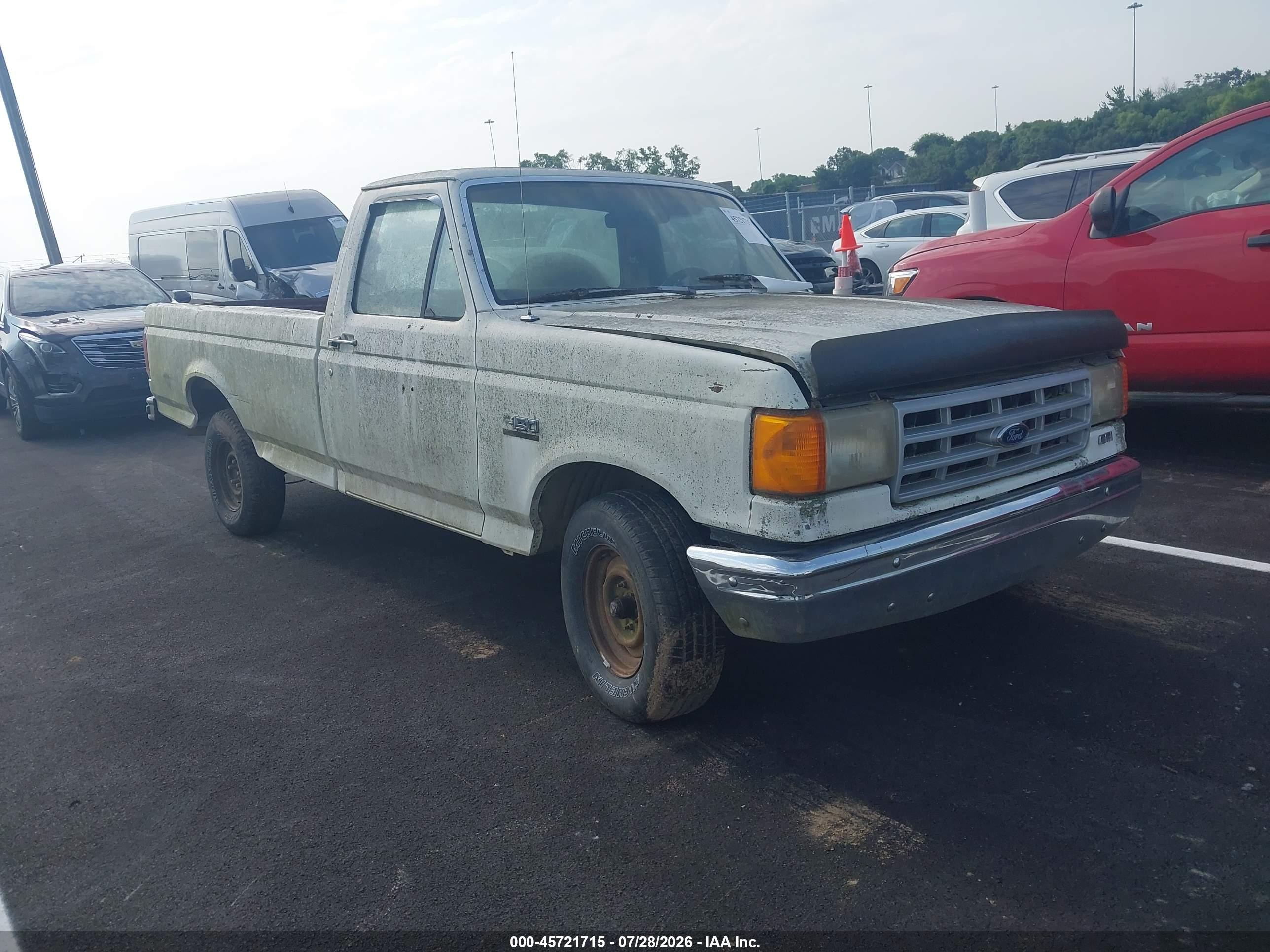1989 Ford F150   Белый vin: 1FTDF15Y8KLA28893