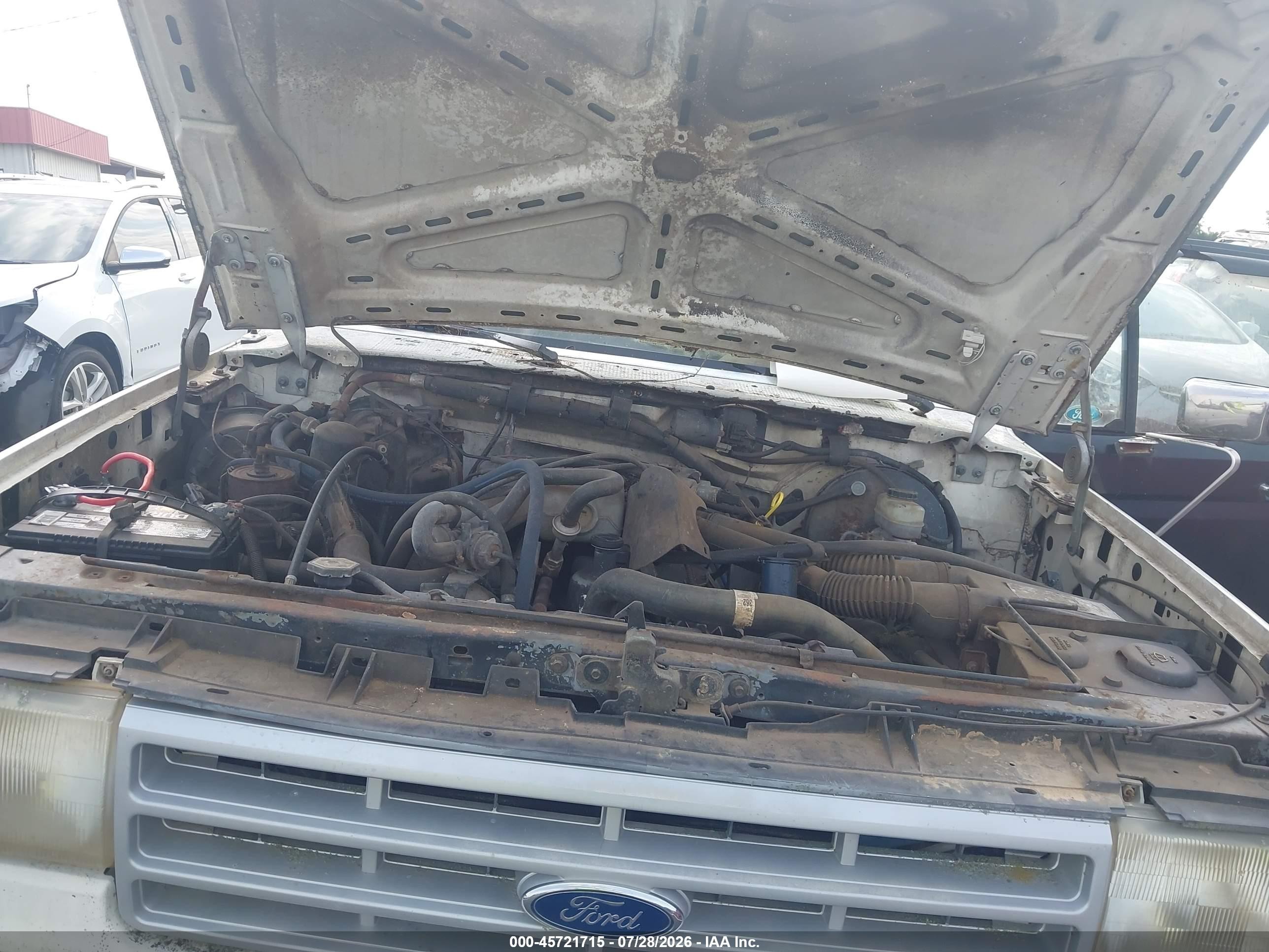 1989 Ford F150   Белый vin: 1FTDF15Y8KLA28893