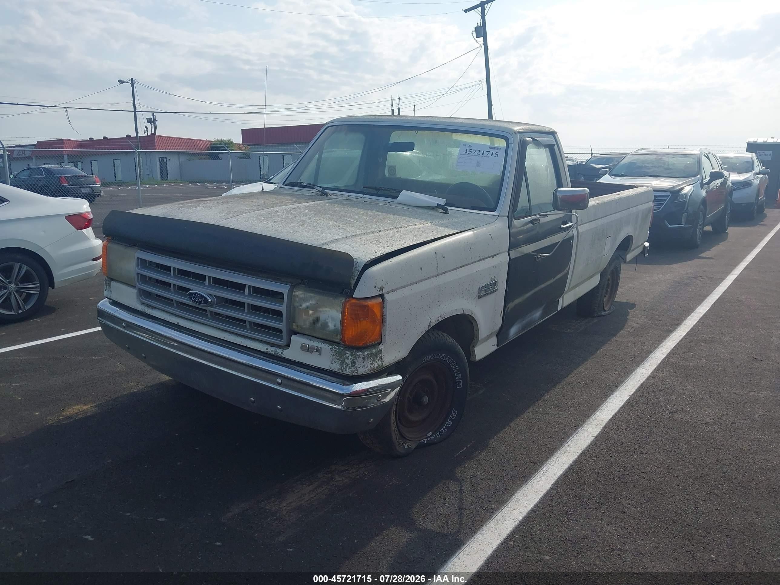 1989 Ford F150   Белый vin: 1FTDF15Y8KLA28893