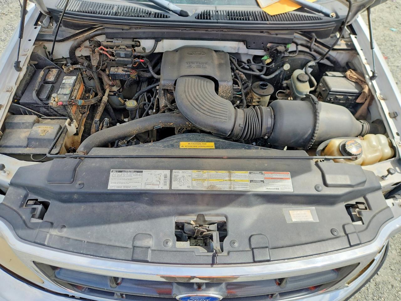 1997 Ford F150 Белый vin: 1FTDF176XVNA32013
