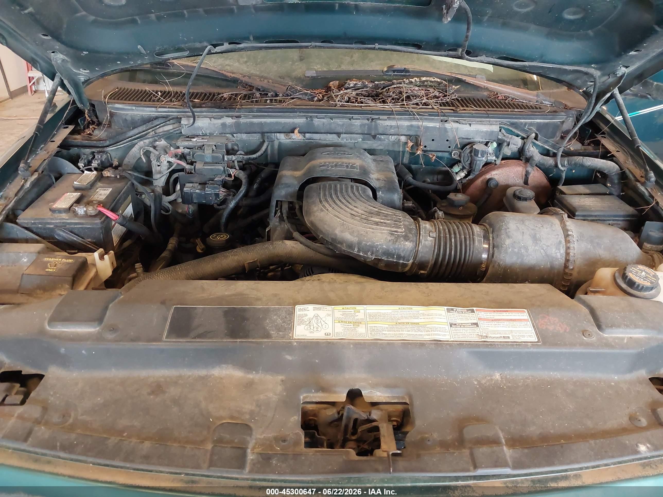1997 Ford F150   Green vin: 1FTDX08W5VKB44807