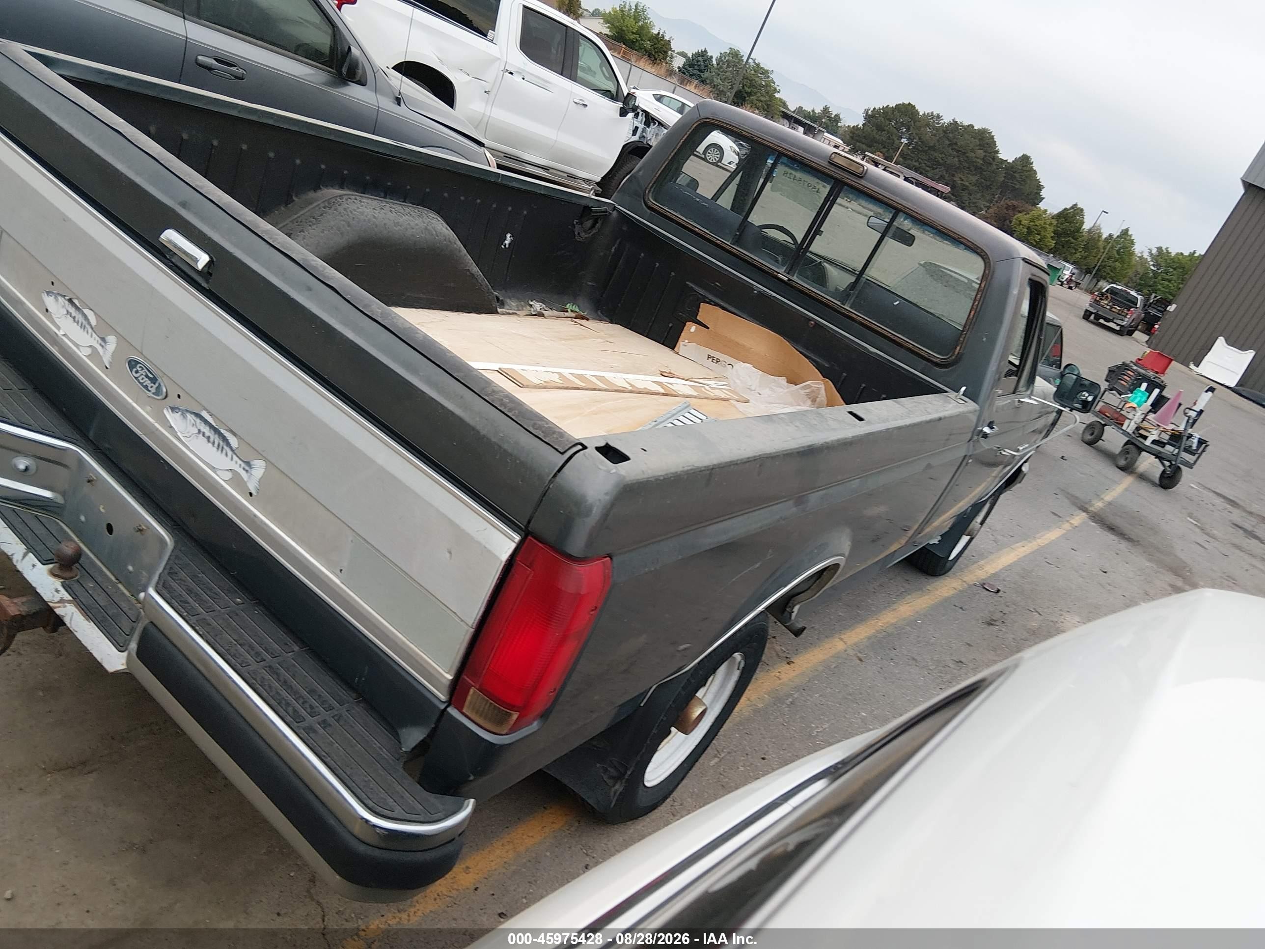 1991 Ford F150   Gray vin: 1FTEF14H1MLA81153