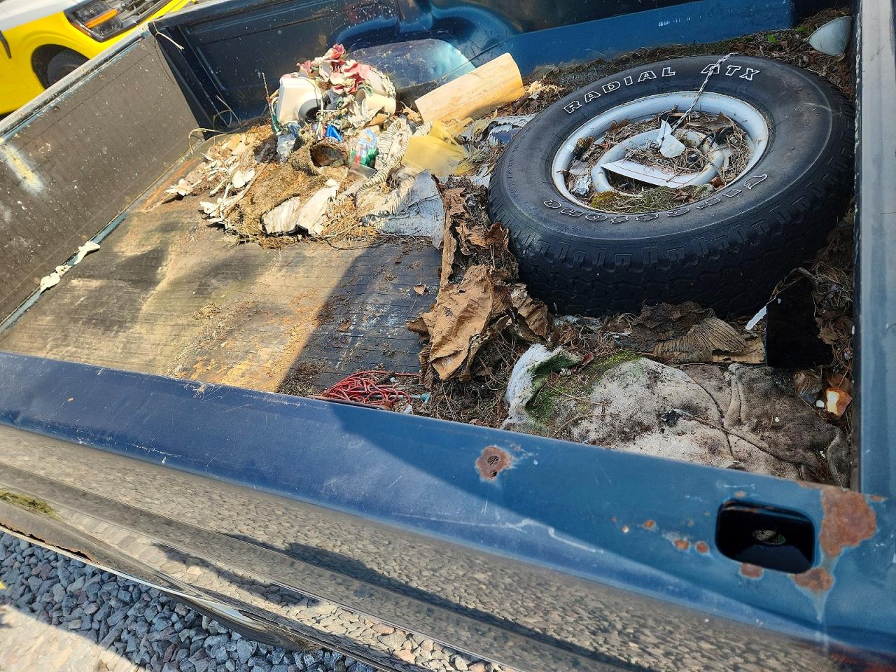 1994 Ford F-150 Blue vin: 1FTEF14N6RLA56343