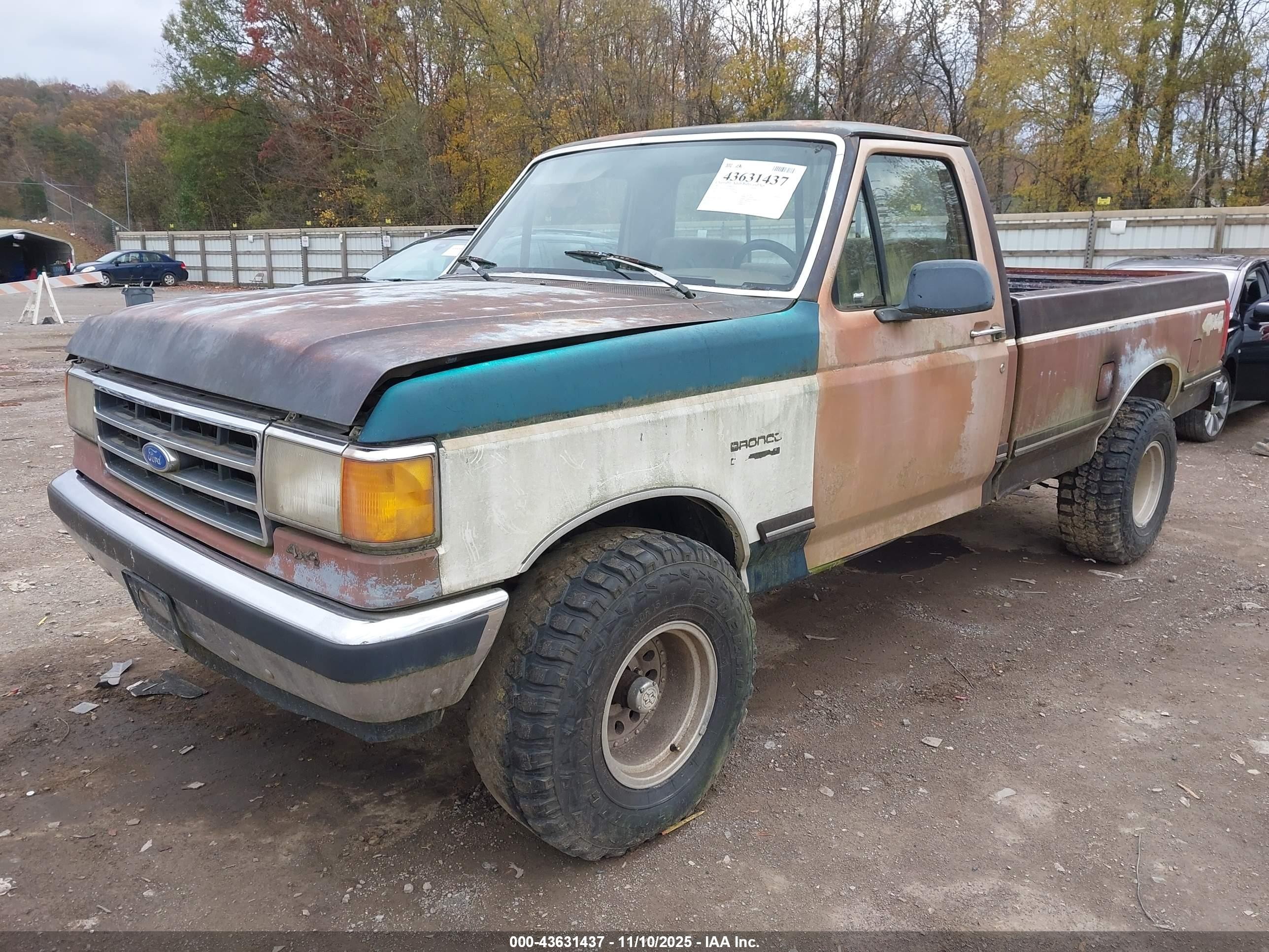 1991 Ford F150   Brown vin: 1FTEF14NXMNA76964