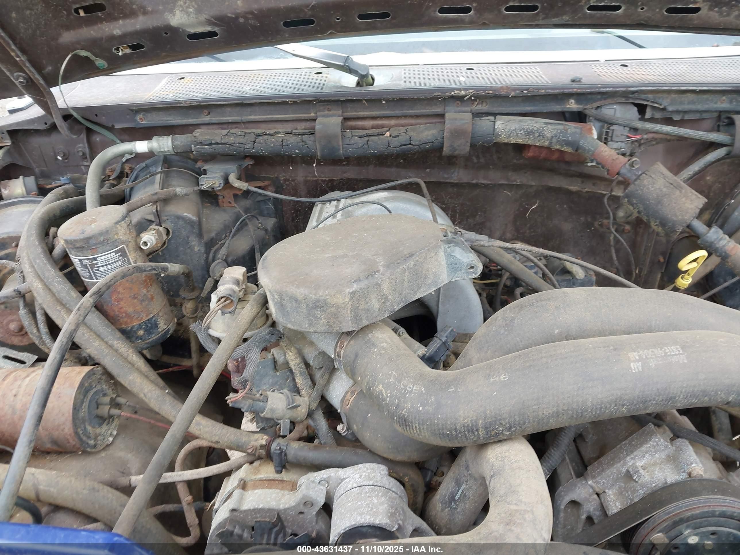 1991 Ford F150   Brown vin: 1FTEF14NXMNA76964