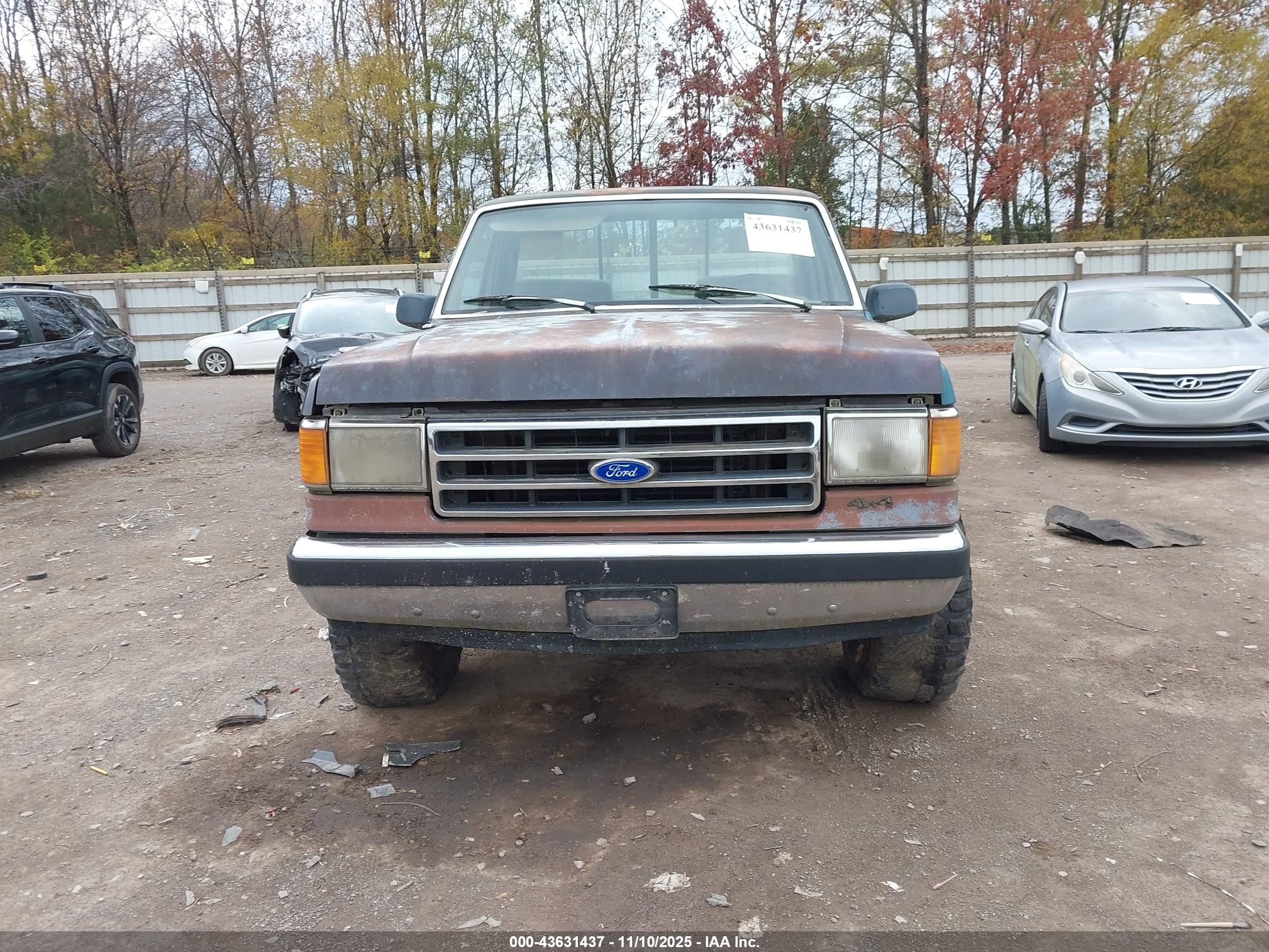 1991 Ford F150   Brown vin: 1FTEF14NXMNA76964