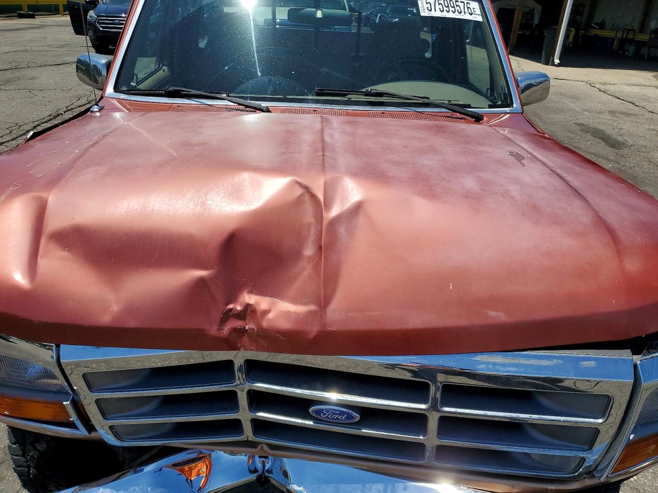 1995 Ford F150 Двухцветный vin: 1FTEF14NXSLA88220