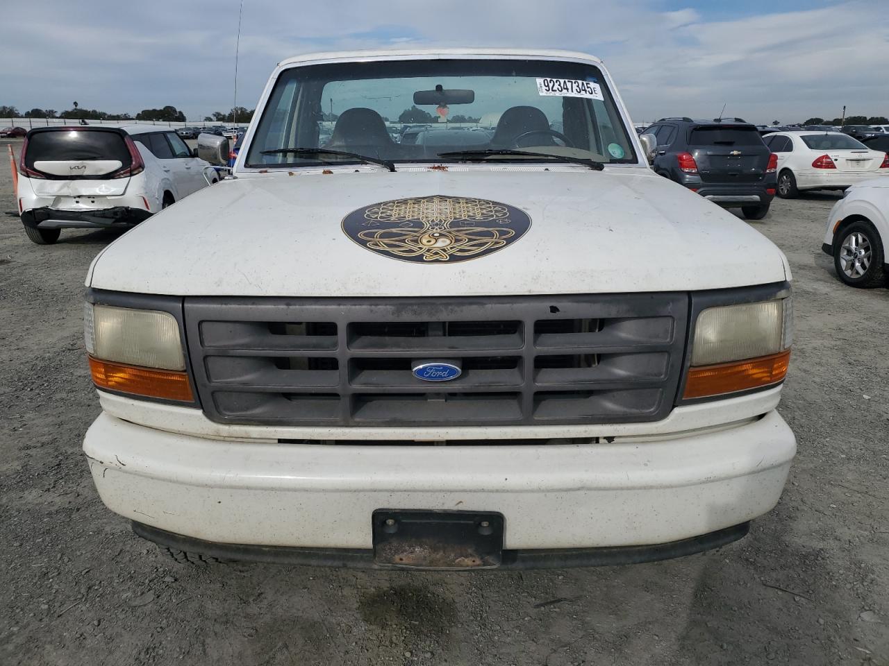 1994 Ford F150 White vin: 1FTEF14Y2RLB66686