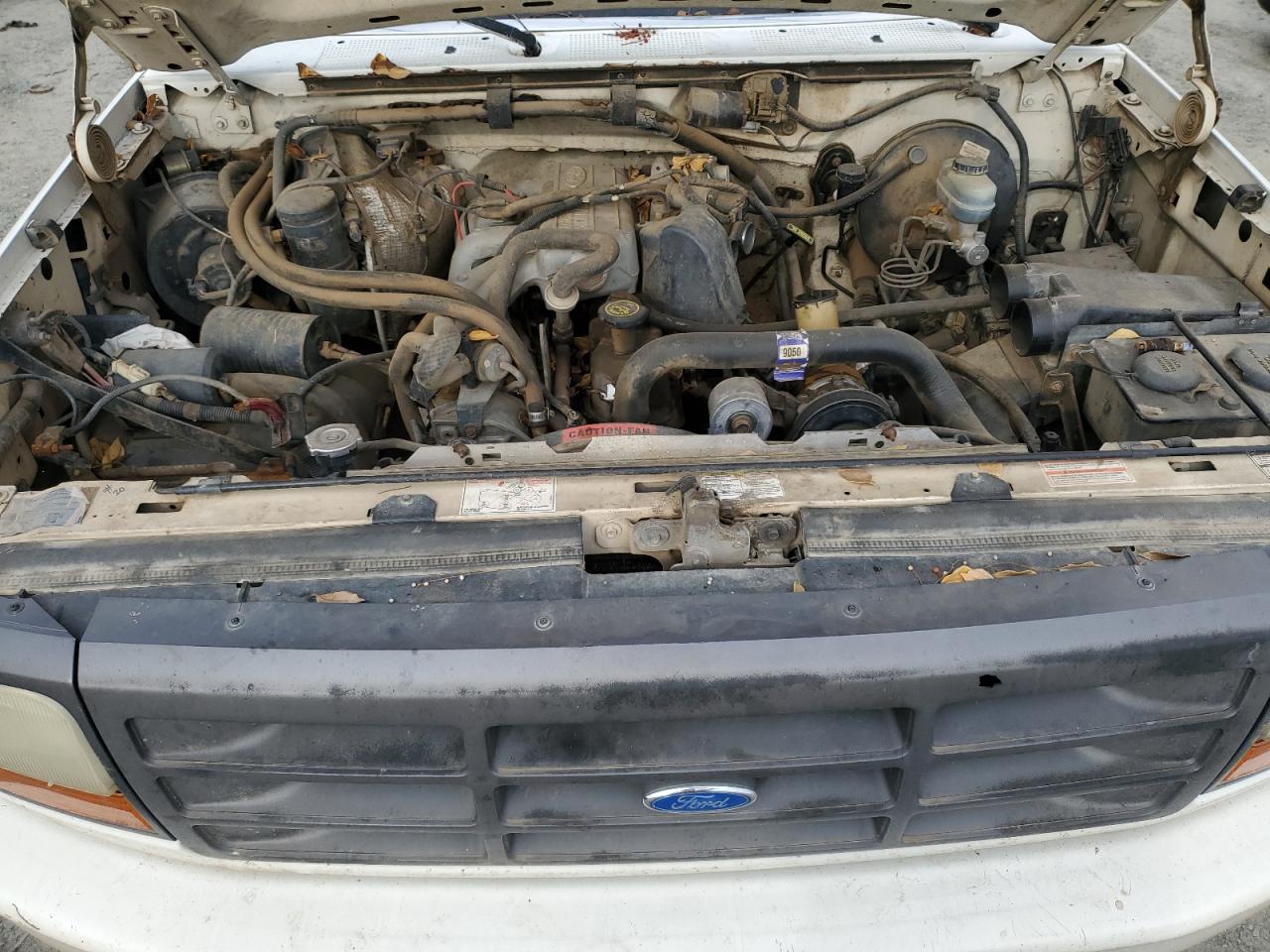 1994 Ford F150 White vin: 1FTEF14Y2RLB66686