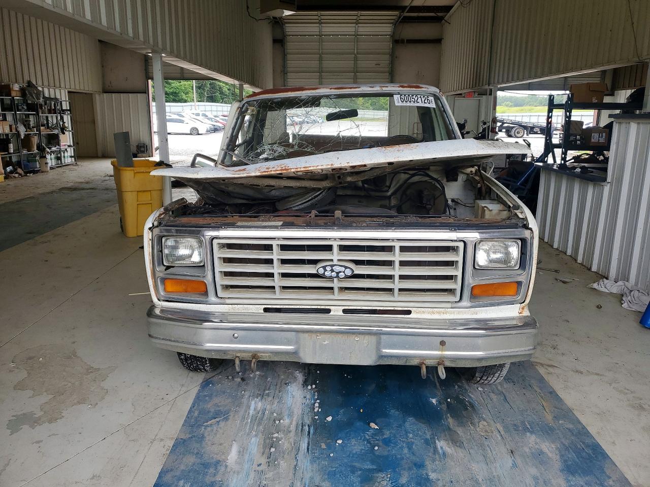 1982 Ford F150 White vin: 1FTEF15E2CNA38383