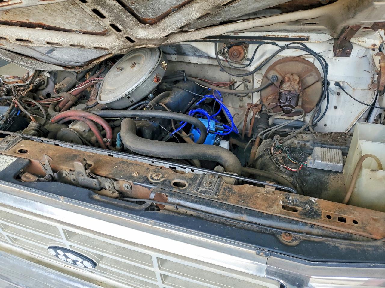 1982 Ford F150 White vin: 1FTEF15E2CNA38383