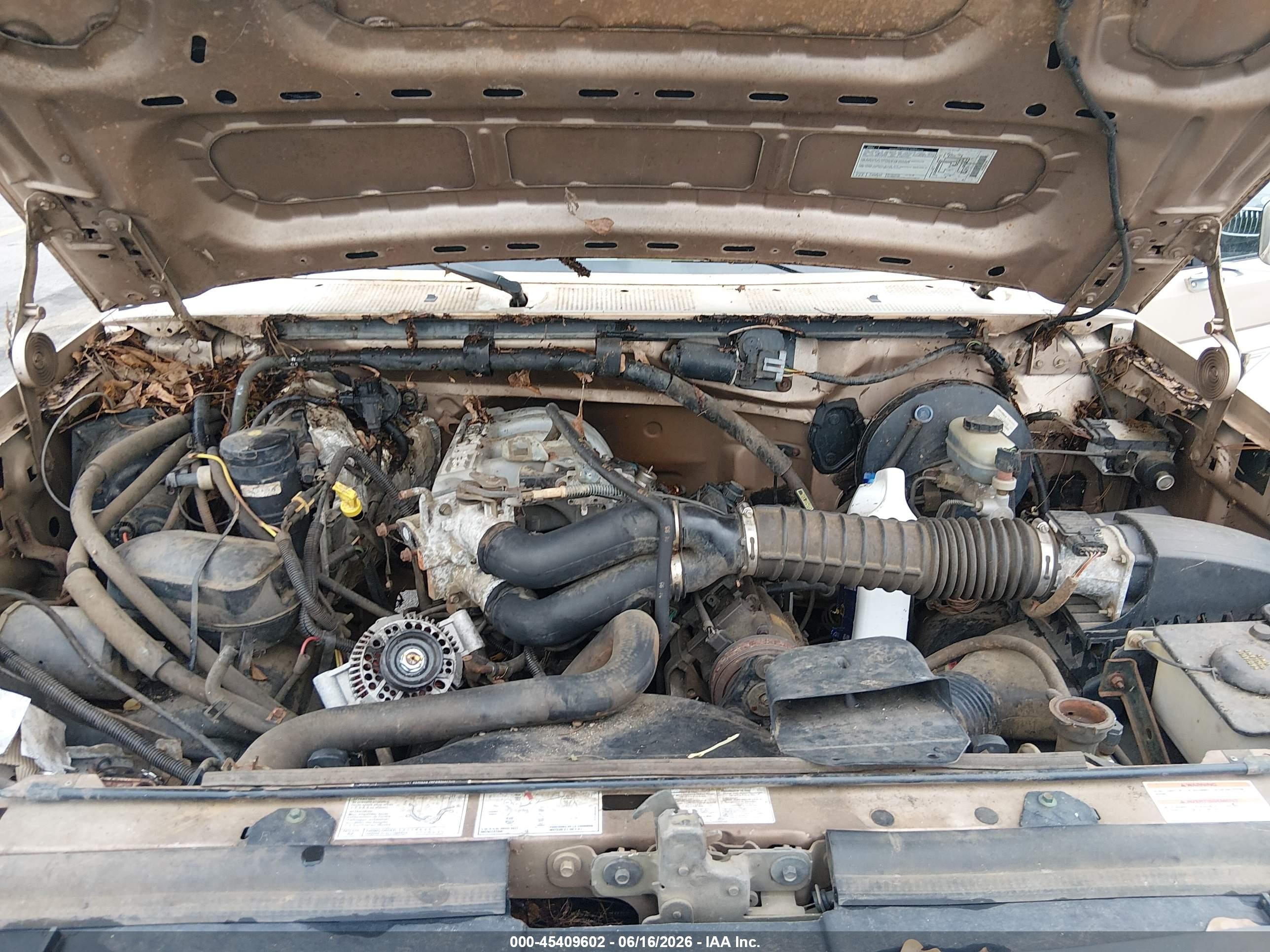 1996 Ford F150 Beige vin: 1FTEF15N2TNA27528
