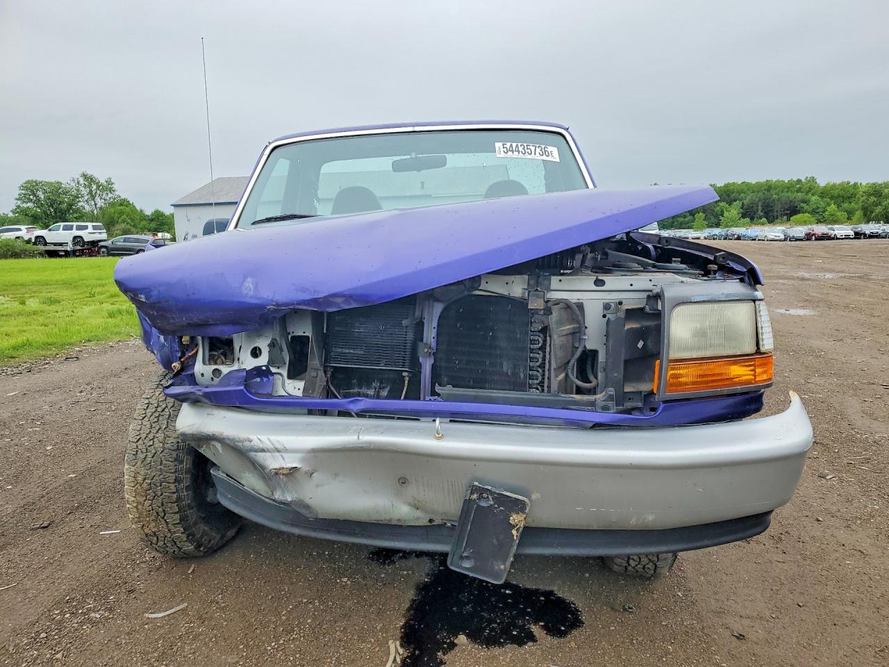 1995 Ford F150 Purple vin: 1FTEF15N6SLB83341