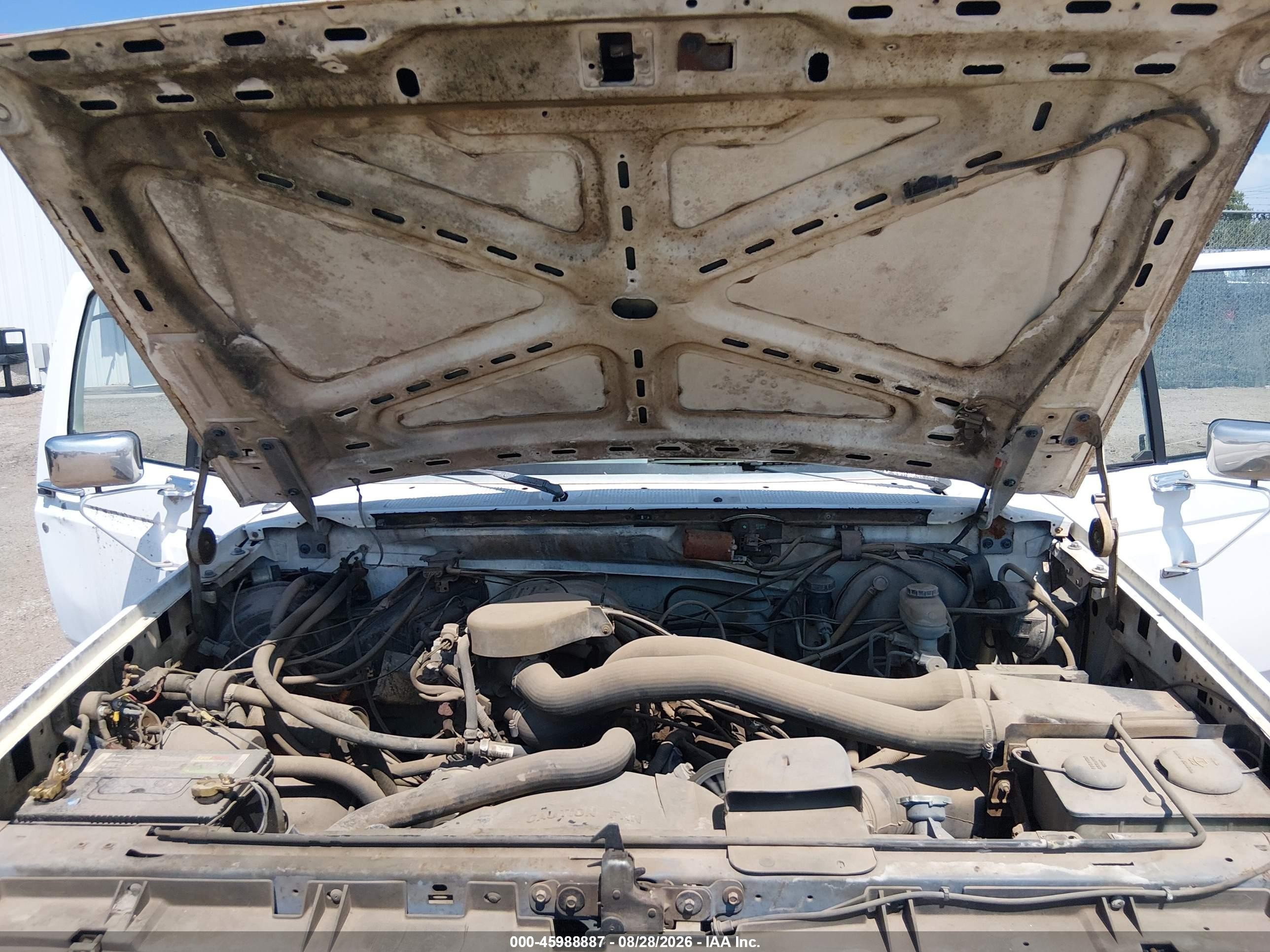 1989 Ford F150   White vin: 1FTEF15N7KLA99237