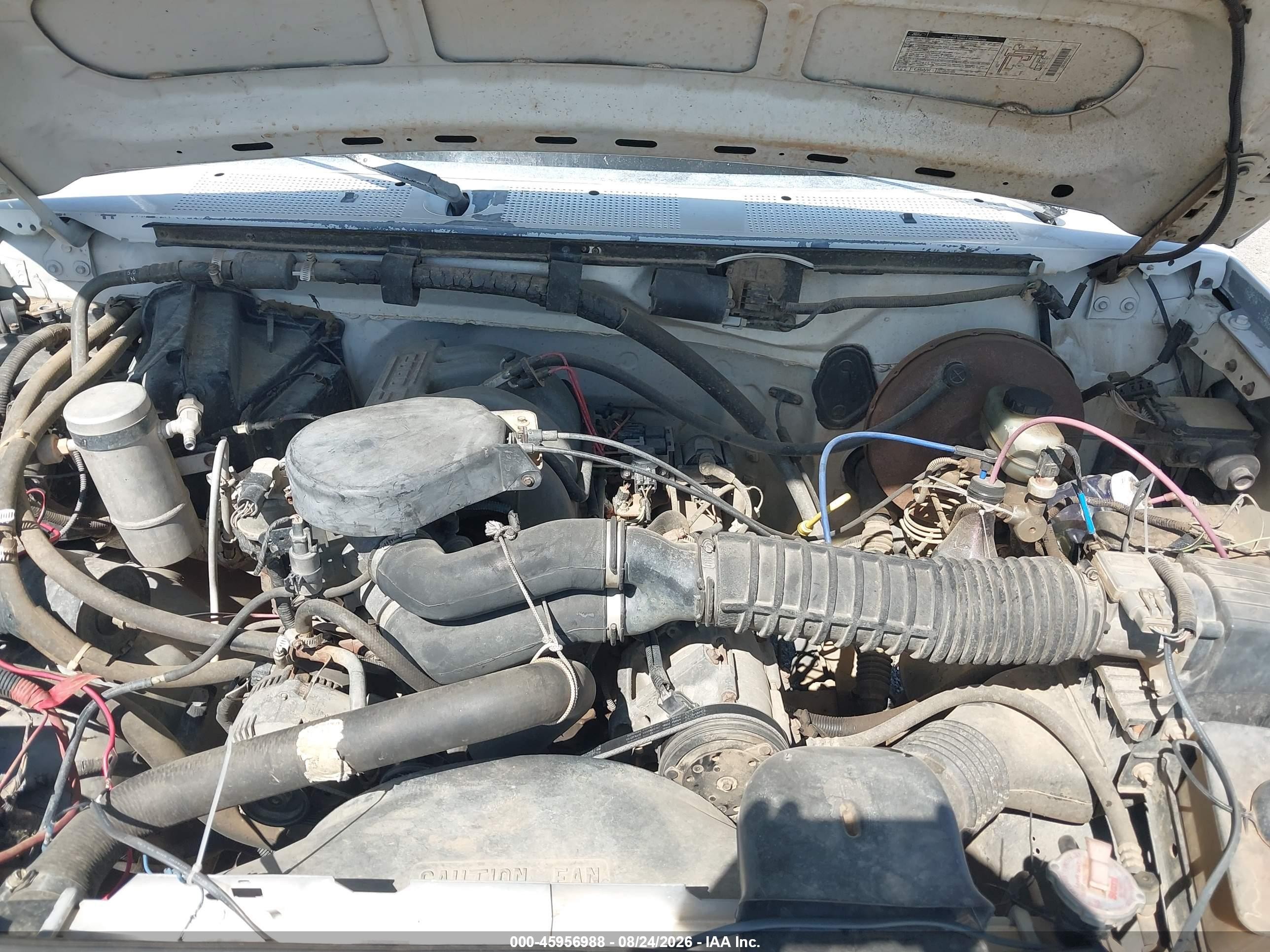 1994 Ford F150   White vin: 1FTEF15N7RLA51053