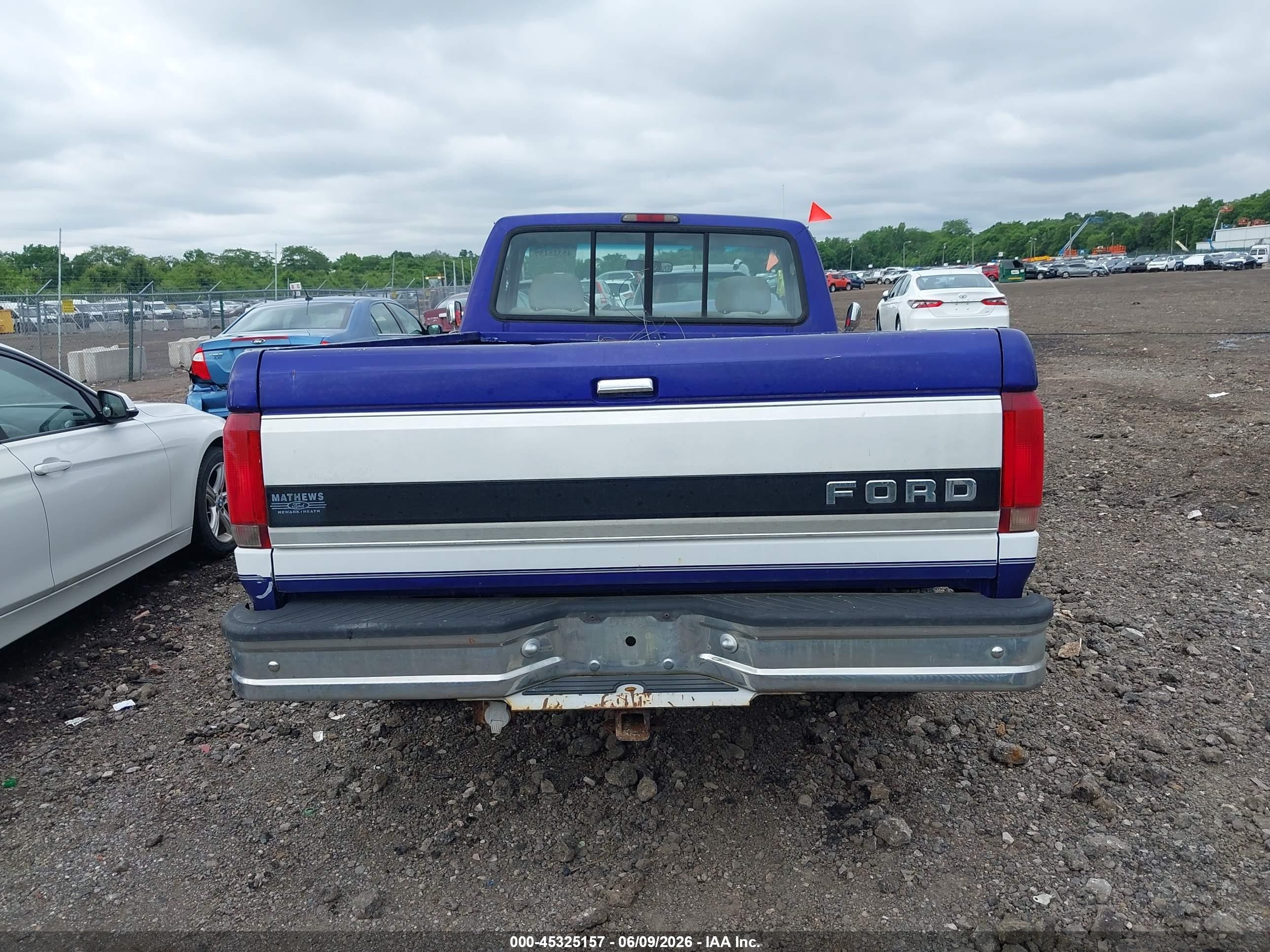1995 Ford F150   Синий vin: 1FTEF15N7SLA53911