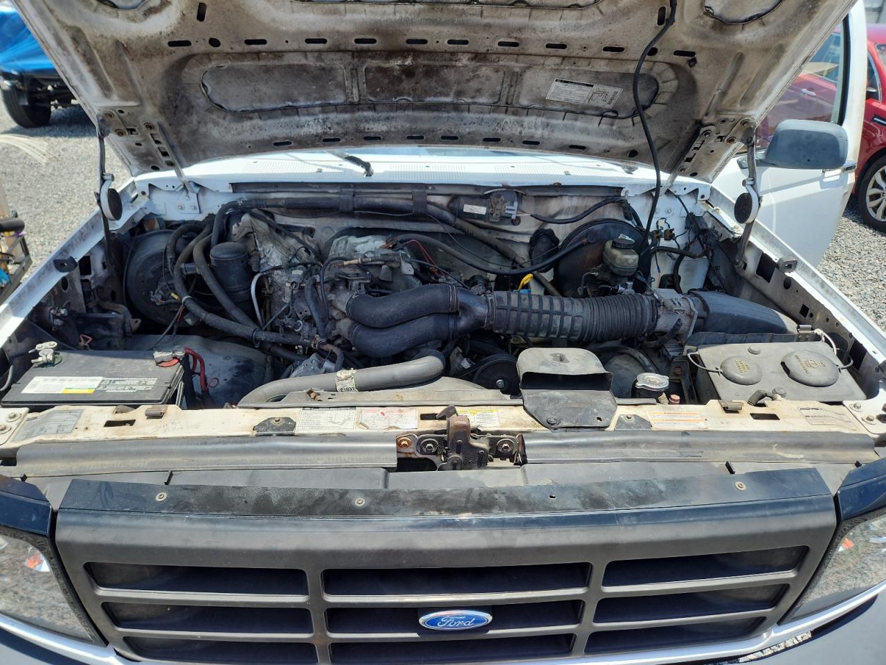1995 Ford F150 White vin: 1FTEF15N7SNB60221