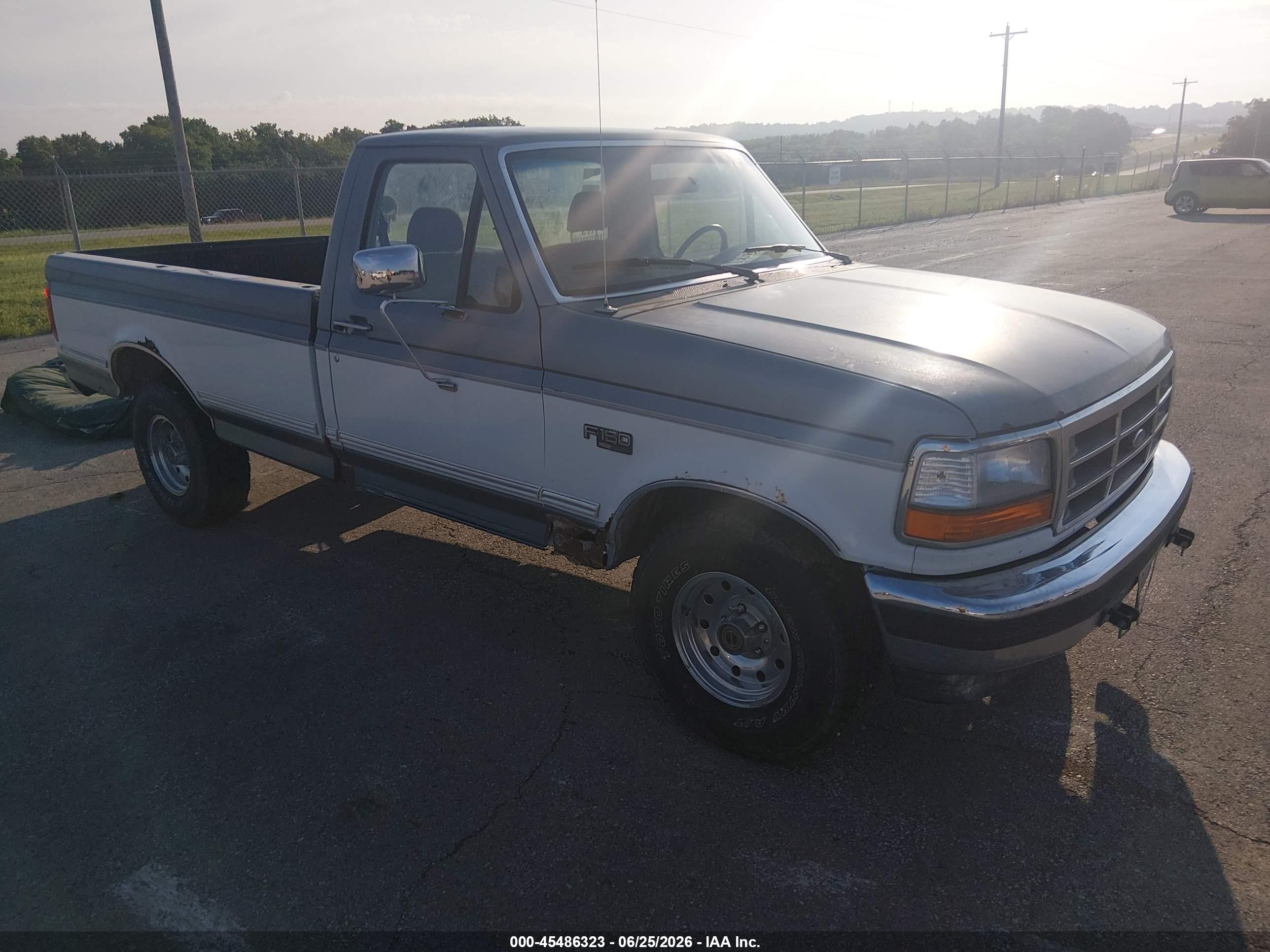 1995 Ford F150   Gray vin: 1FTEF15NXSLA38092
