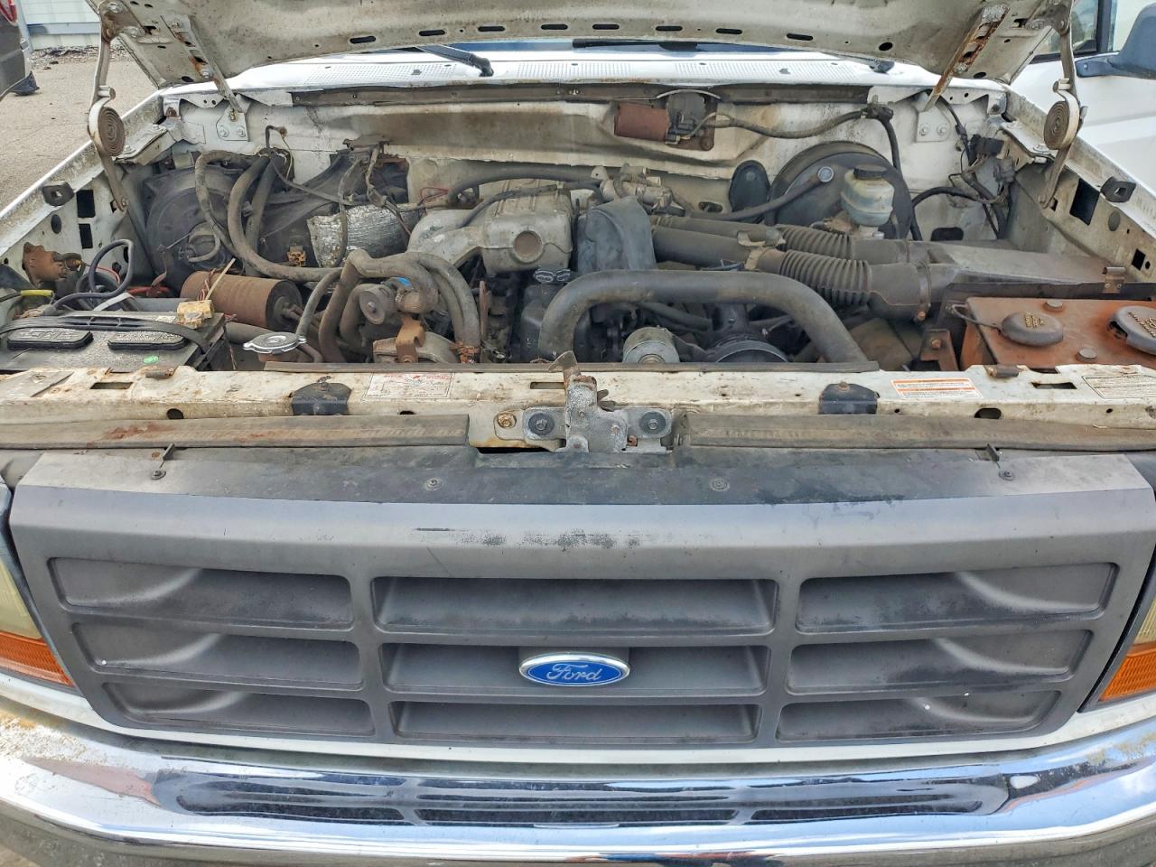 1994 Ford F250 White vin: 1FTEF25Y9RLA70574