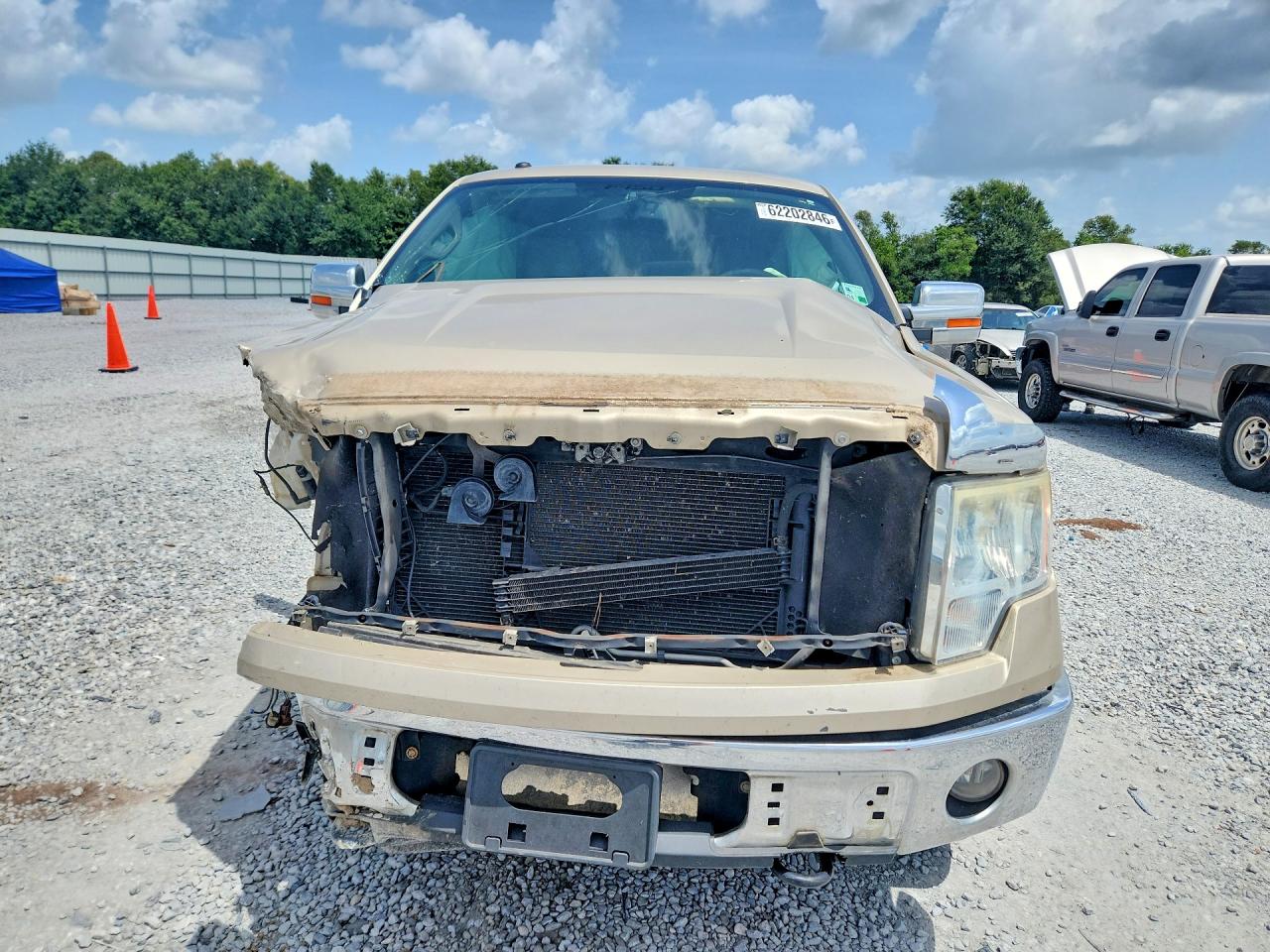 2010 Ford F150 Supercrew Gold vin: 1FTEW1C81AFB37099