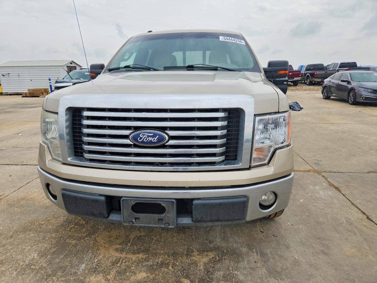 2010 Ford F150 Supercrew Tan vin: 1FTEW1C83AFD86634